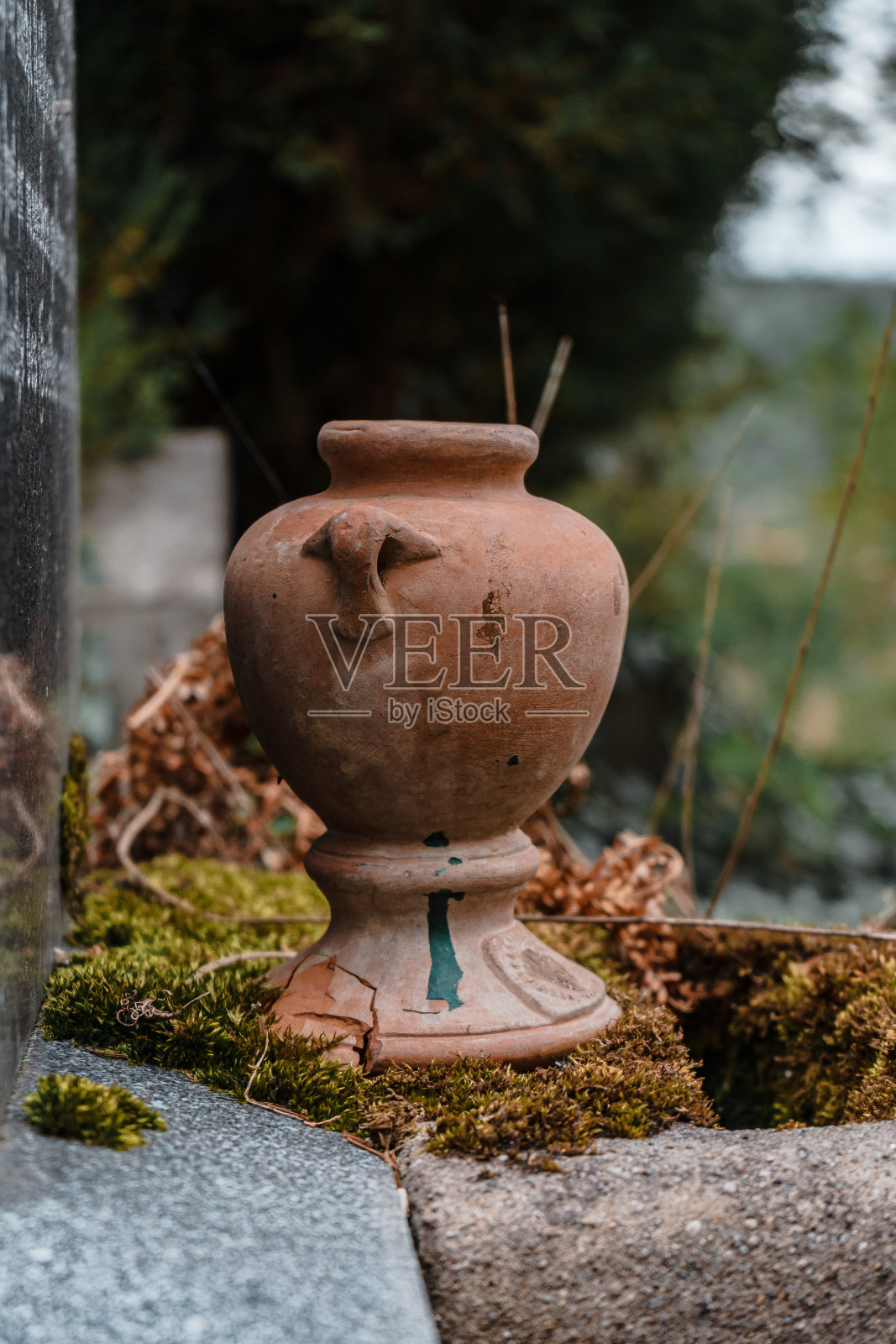 墓地里一个破损的陶罐的漂亮照片照片摄影图片