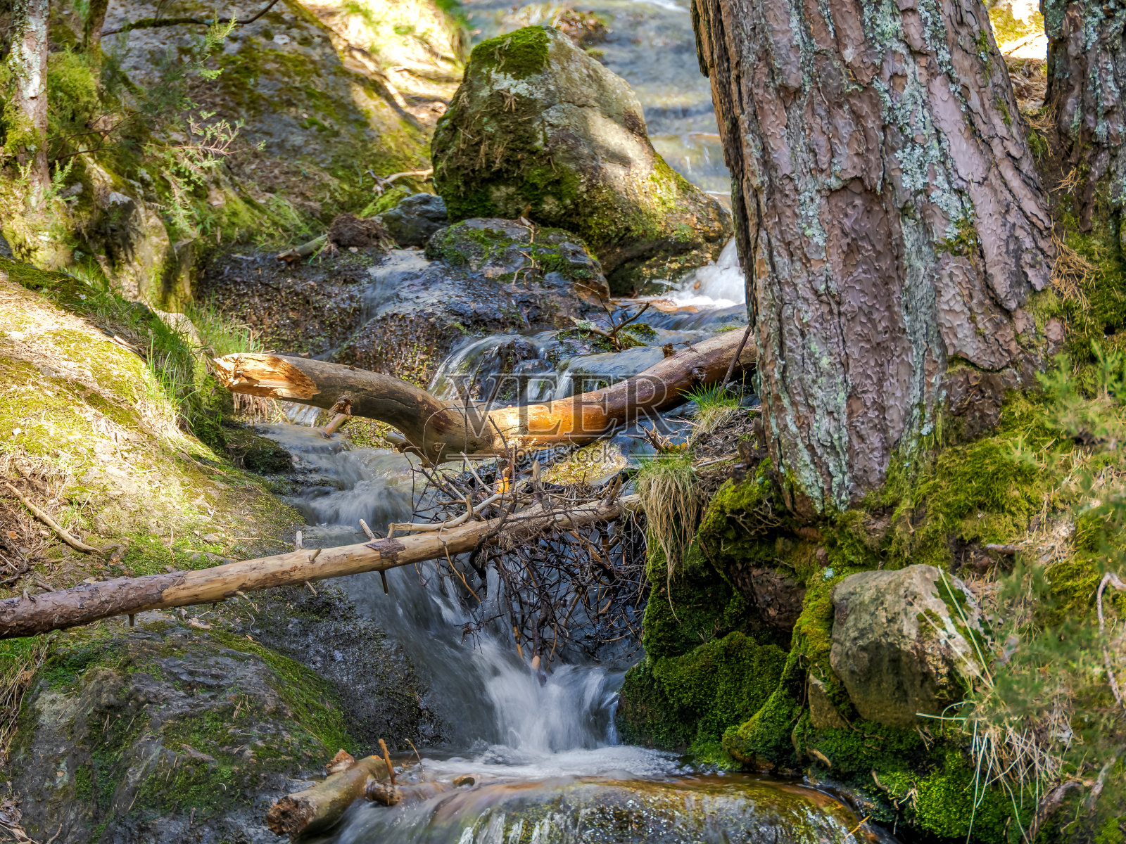 这条河照片摄影图片