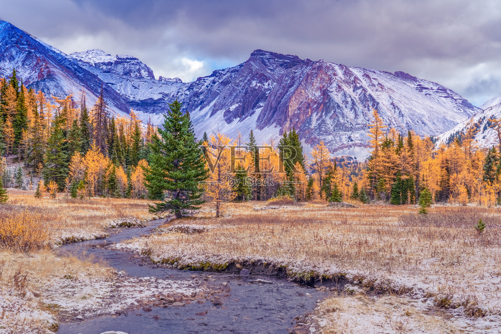 落叶松季节的波卡特拉马戏团照片摄影图片