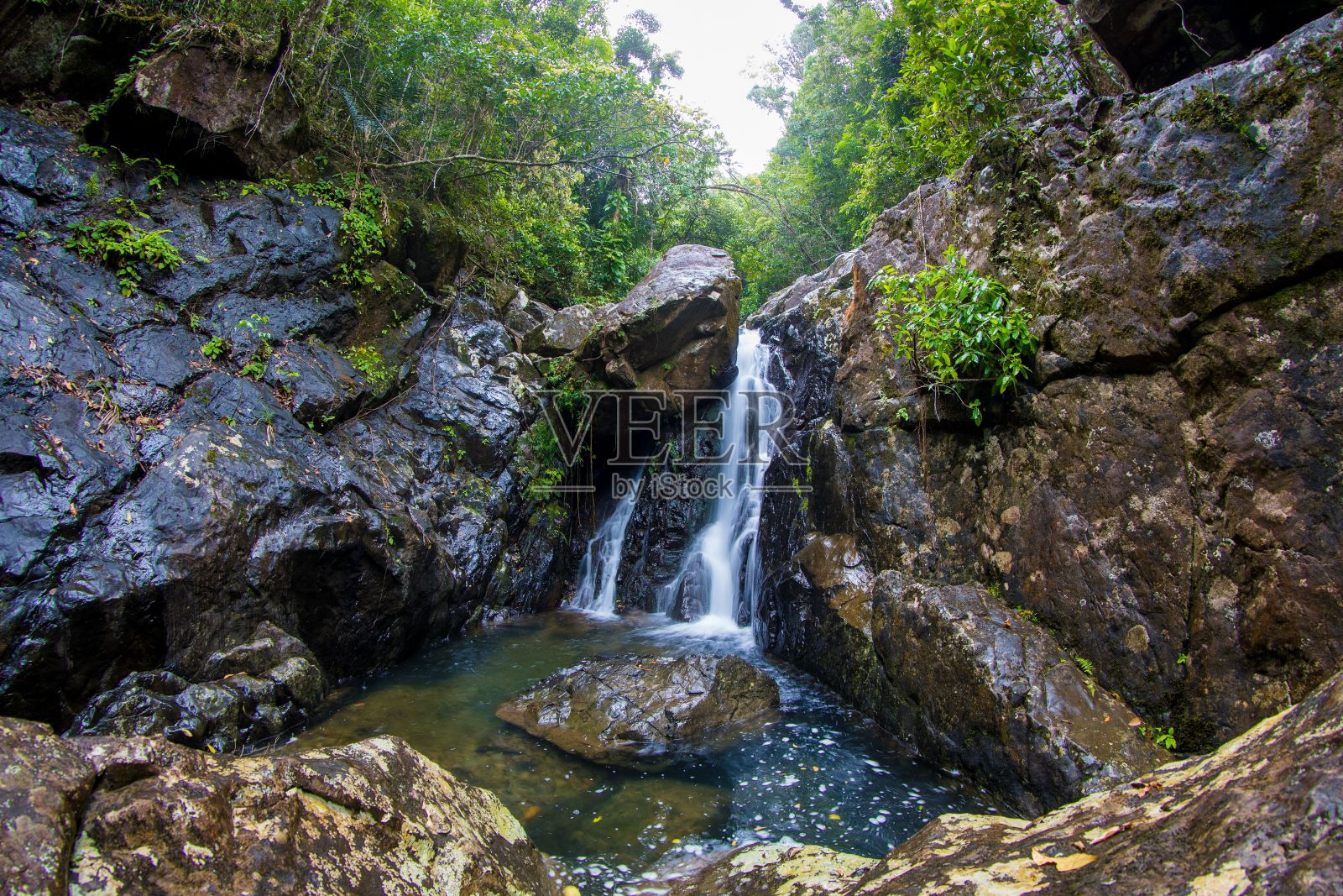 小瀑布:流过布满岩石和树木的森林的小瀑布照片摄影图片