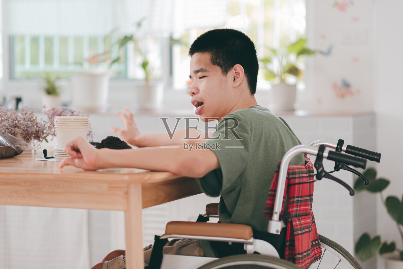 在室内种植植物,为残疾人和护理人员提供放松顺势疗法。照片摄影图片