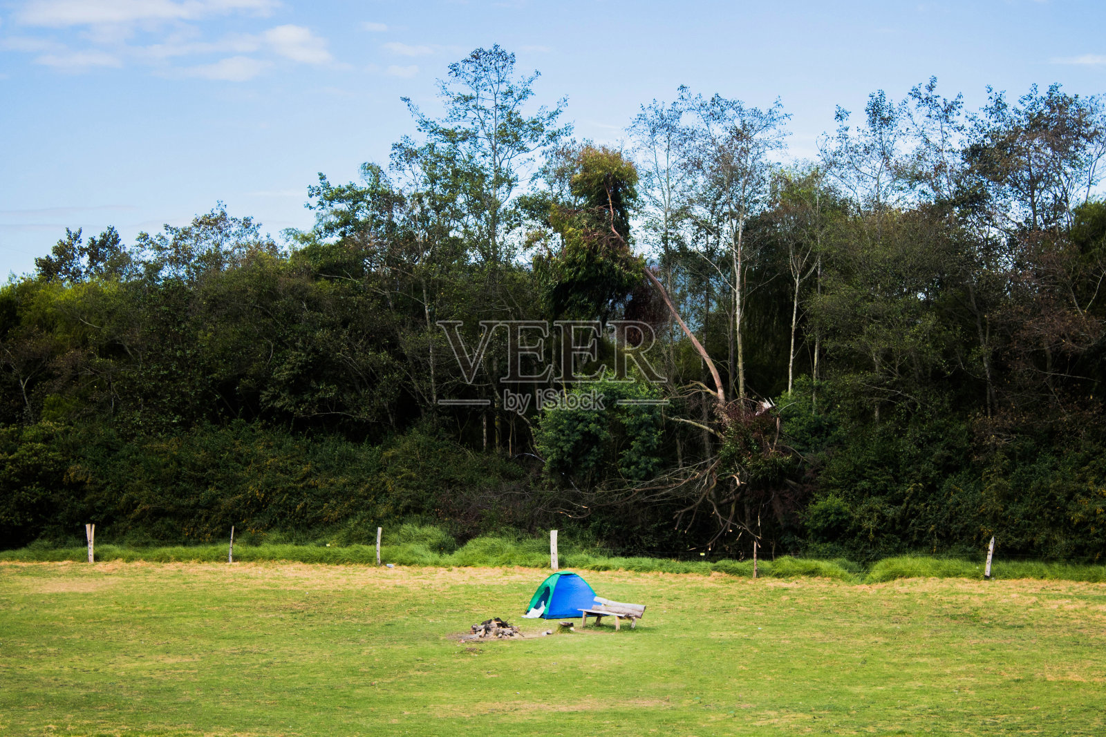 帐篷和一个小营火在田野覆盖在绿色的阳光下照片摄影图片