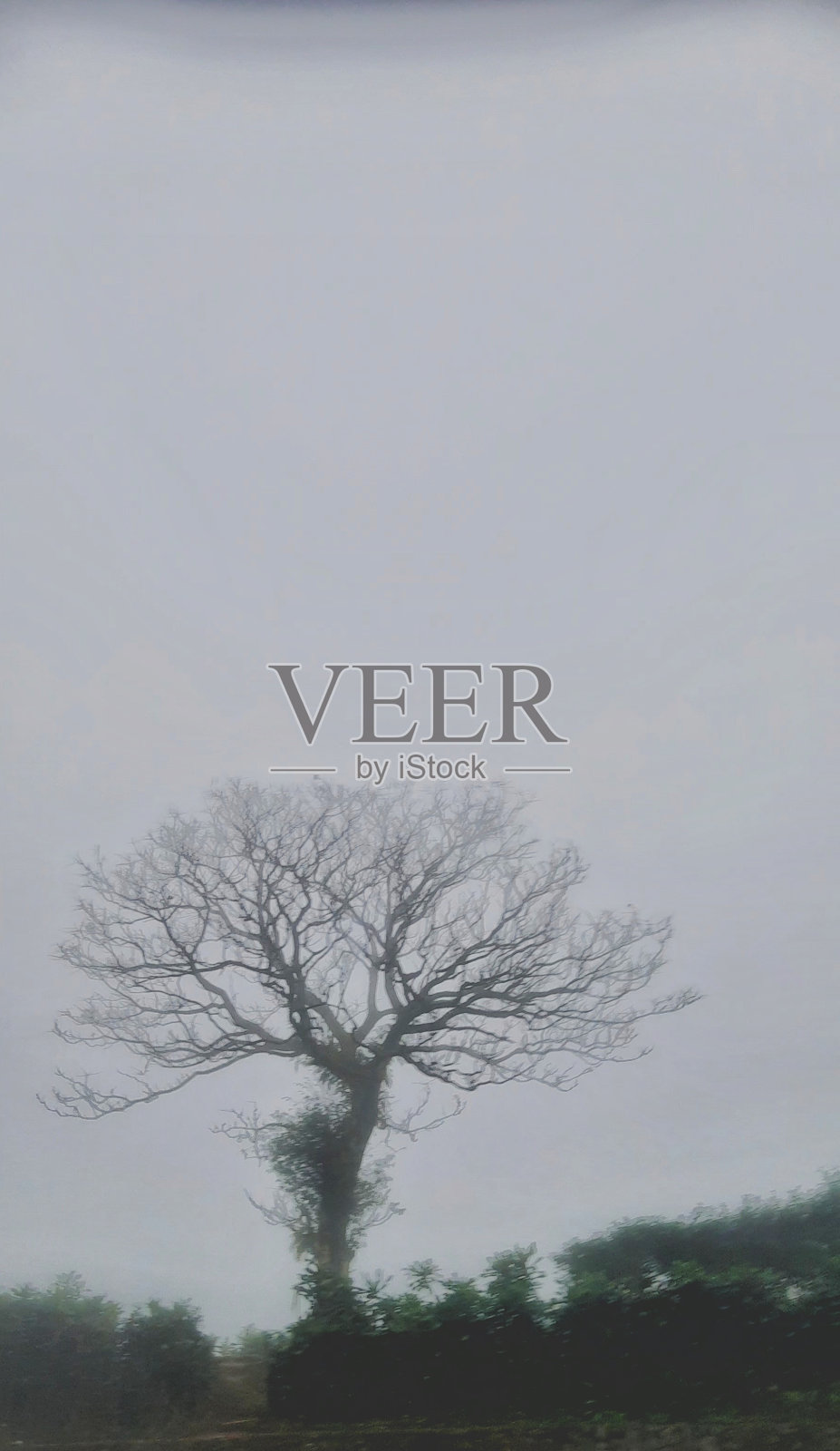 失去了照片摄影图片