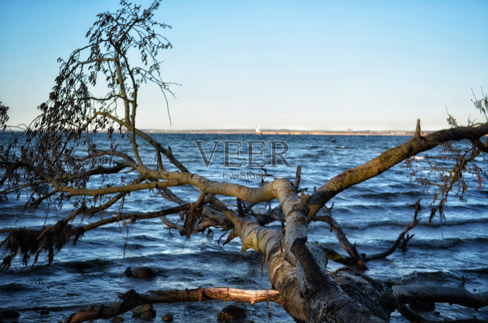 蓝天下的海景照片摄影图片