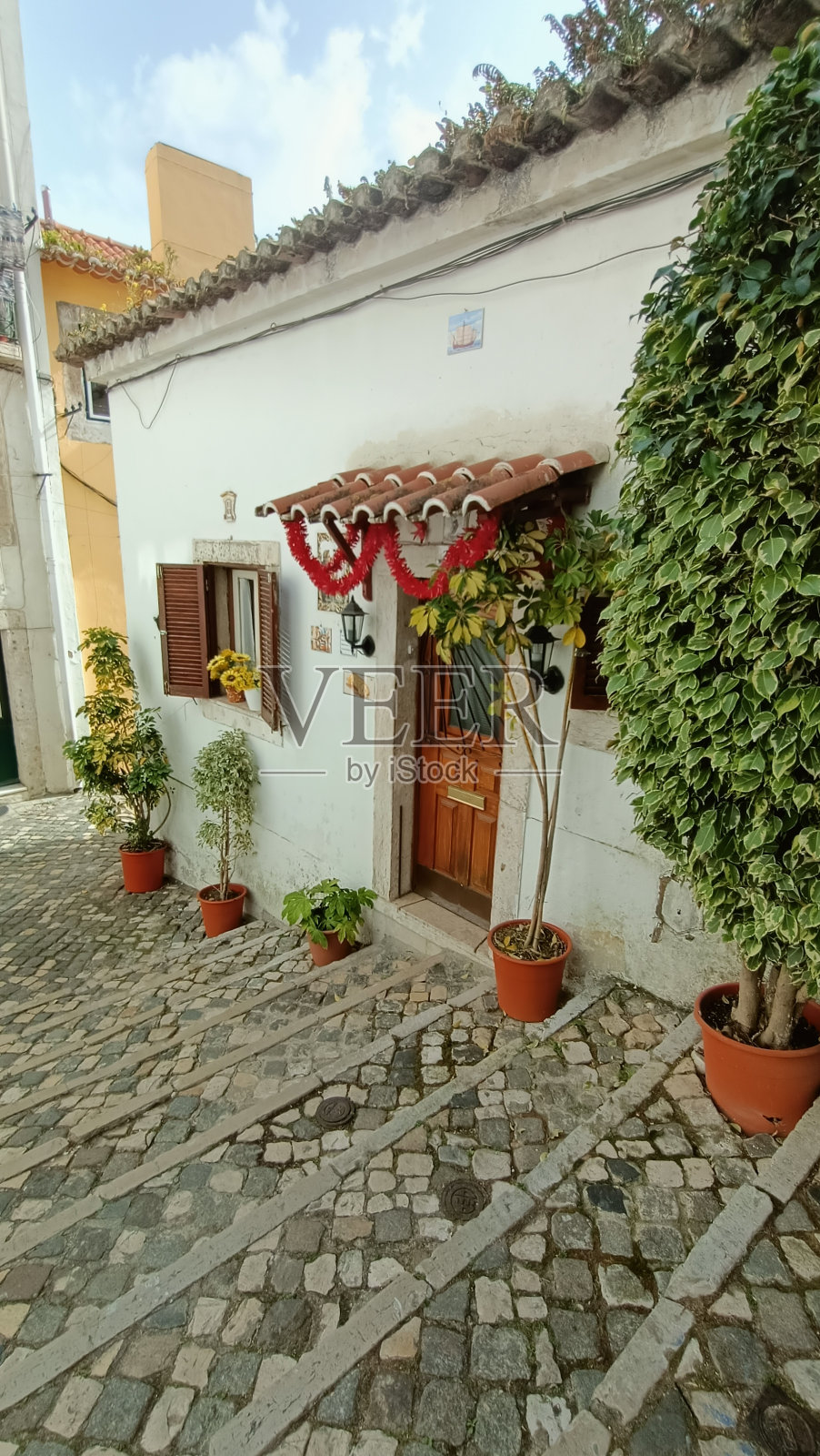 里斯本市中心的漂亮房子。盆栽植物照片摄影图片