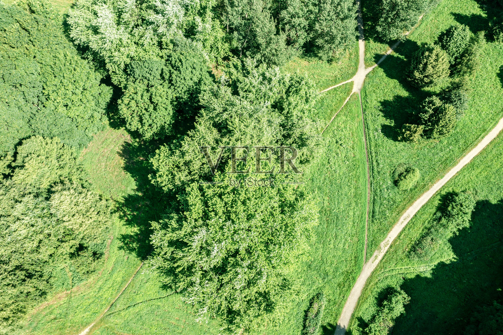 夏季阳光明媚的一天,绿色公园树木、草坪和步道的鸟瞰图照片摄影图片