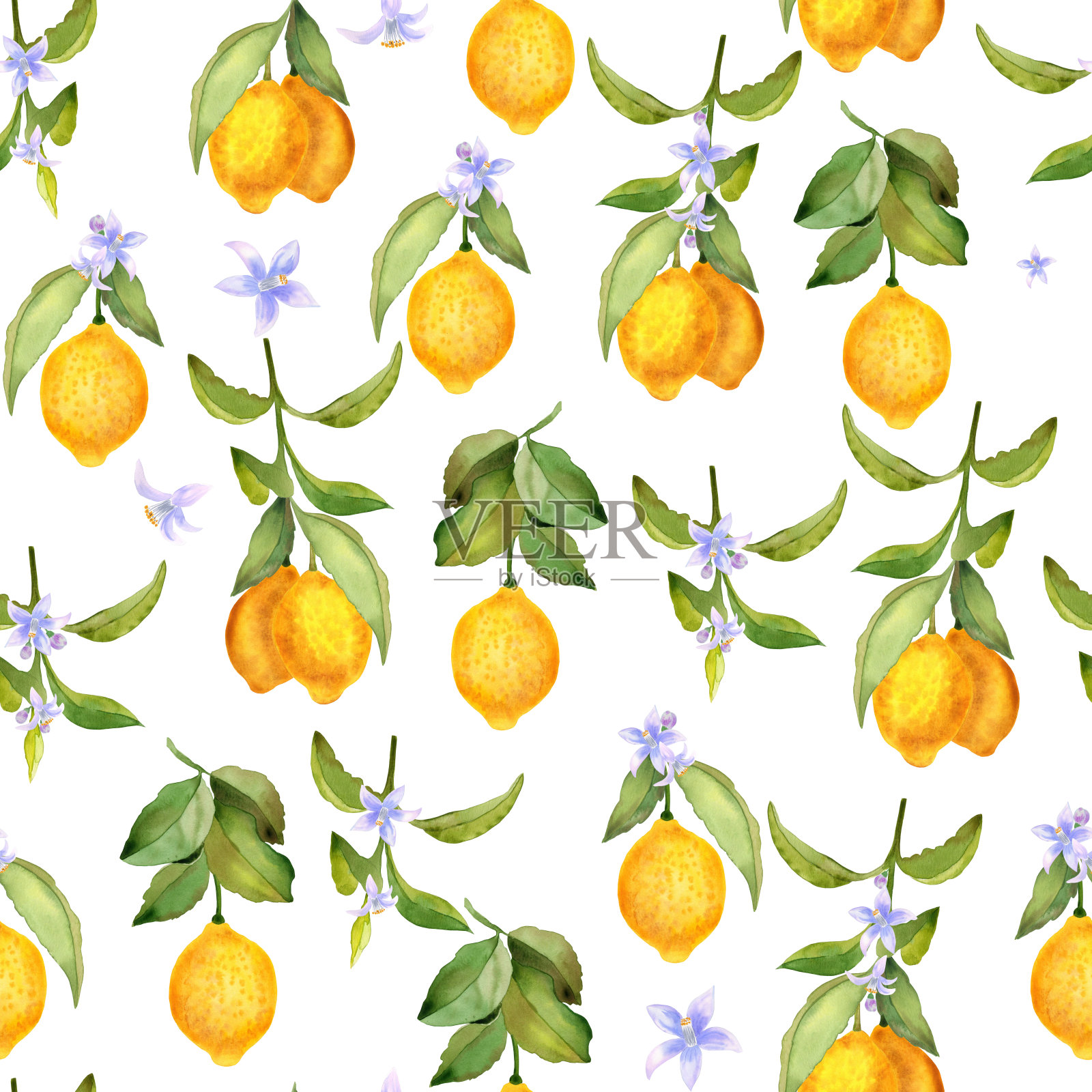 柠檬水果和树枝上的花朵水彩无缝图案。无尽的背景,盛开的柑橘树枝作为壁纸和织物。夏季手绘地中海印花。插画图片素材