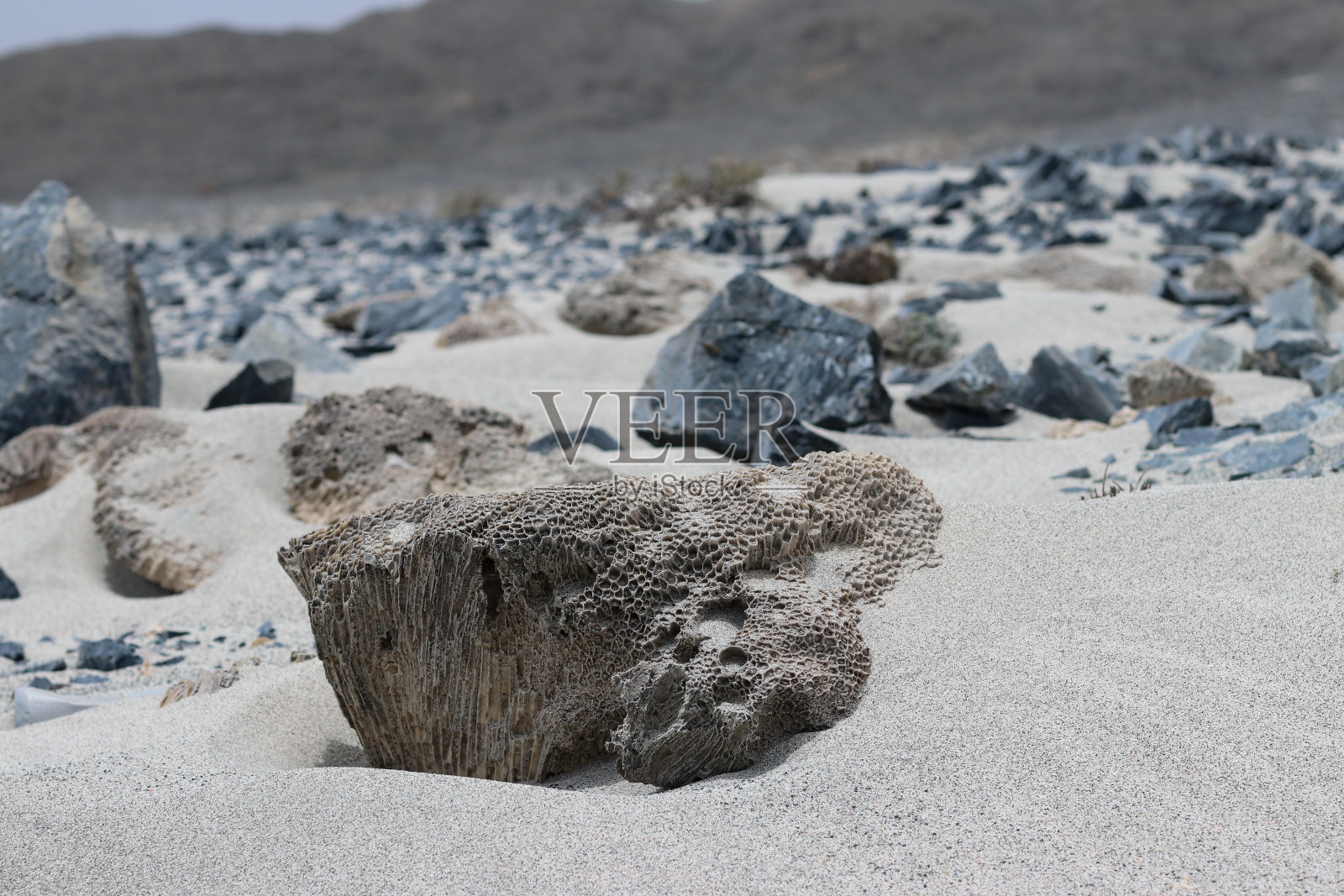 阿曼的马西拉岛。荒岛的景观和细节。粗糙的沙子和气候,大海和炎热的天气。照片摄影图片