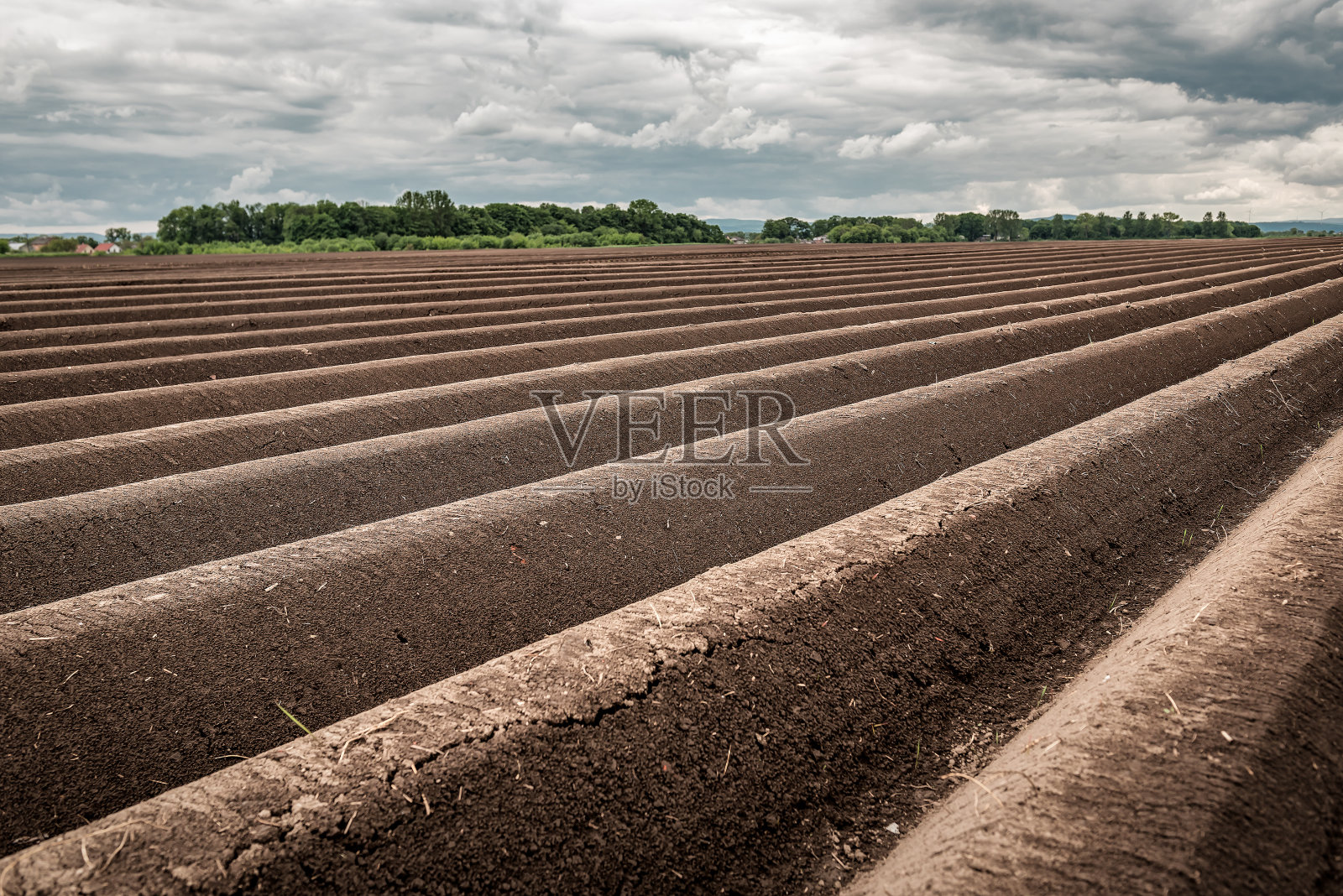 犁沟排列在耕地上,准备在春天种植土豆作物照片摄影图片