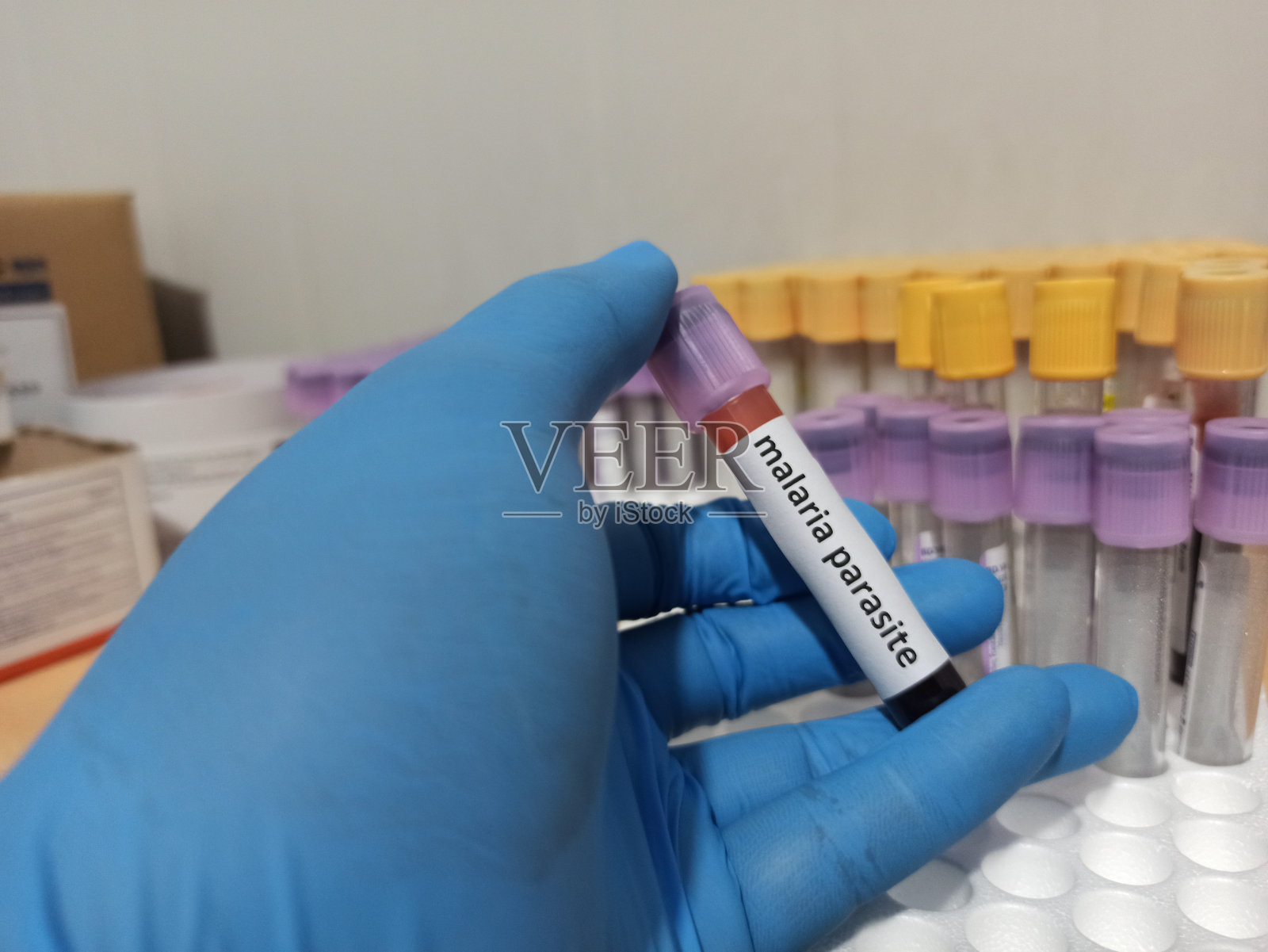 疟疾照片摄影图片