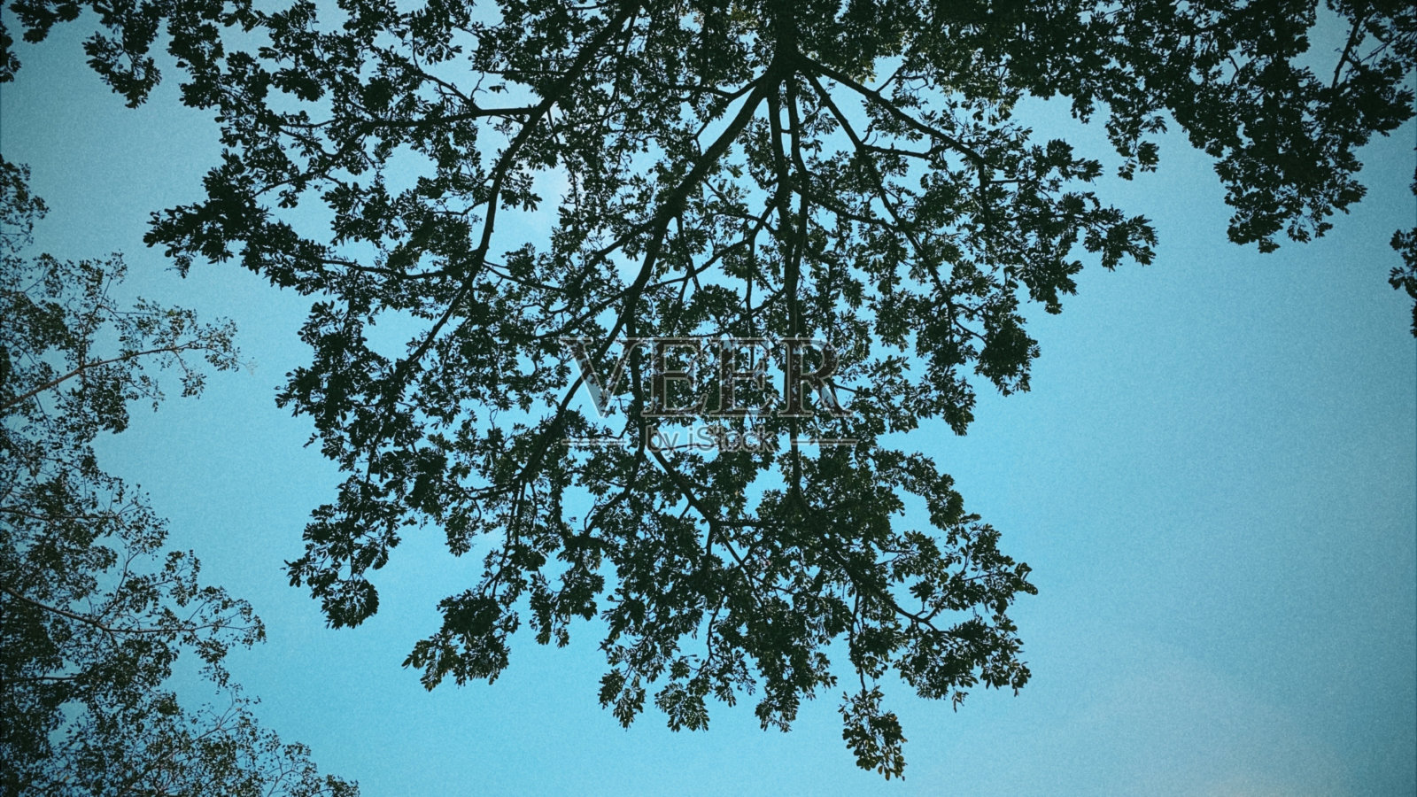 查找照片摄影图片