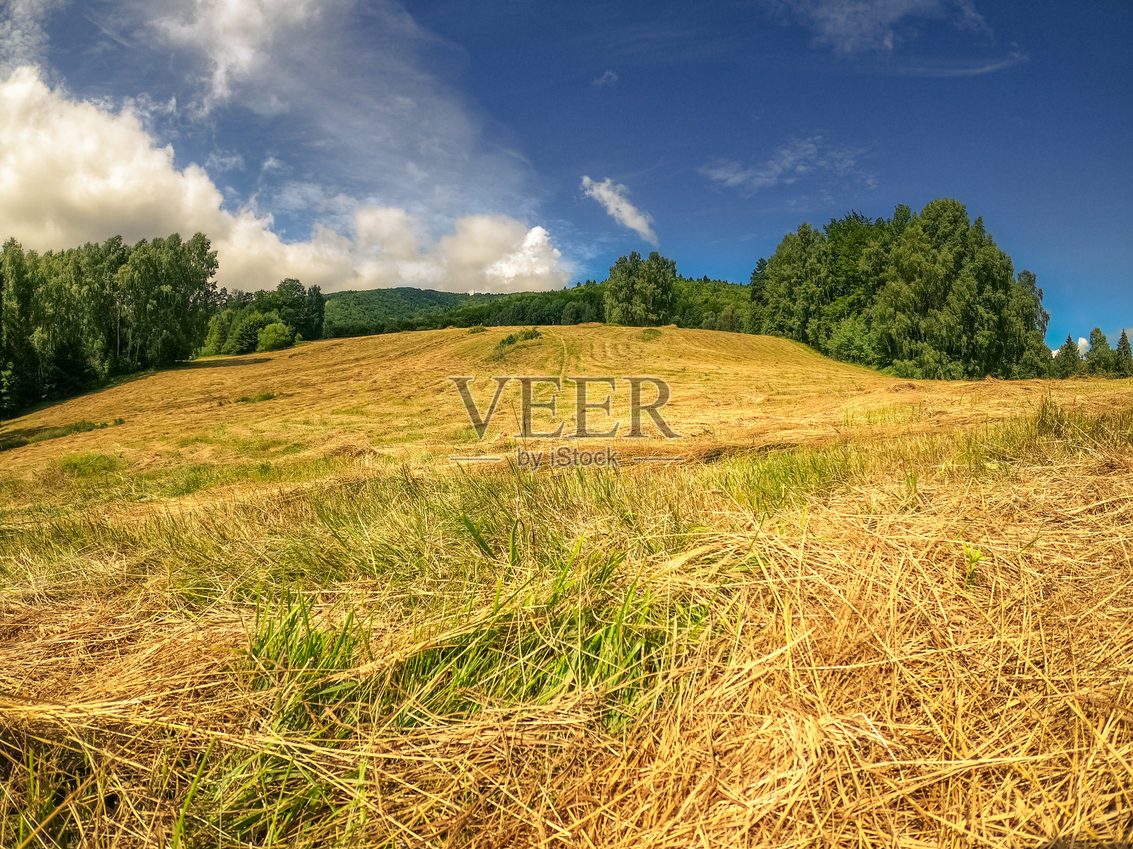 波兰贝斯基德山脉,阳光明媚的夏日,用割下的干草耕种的田地照片摄影图片