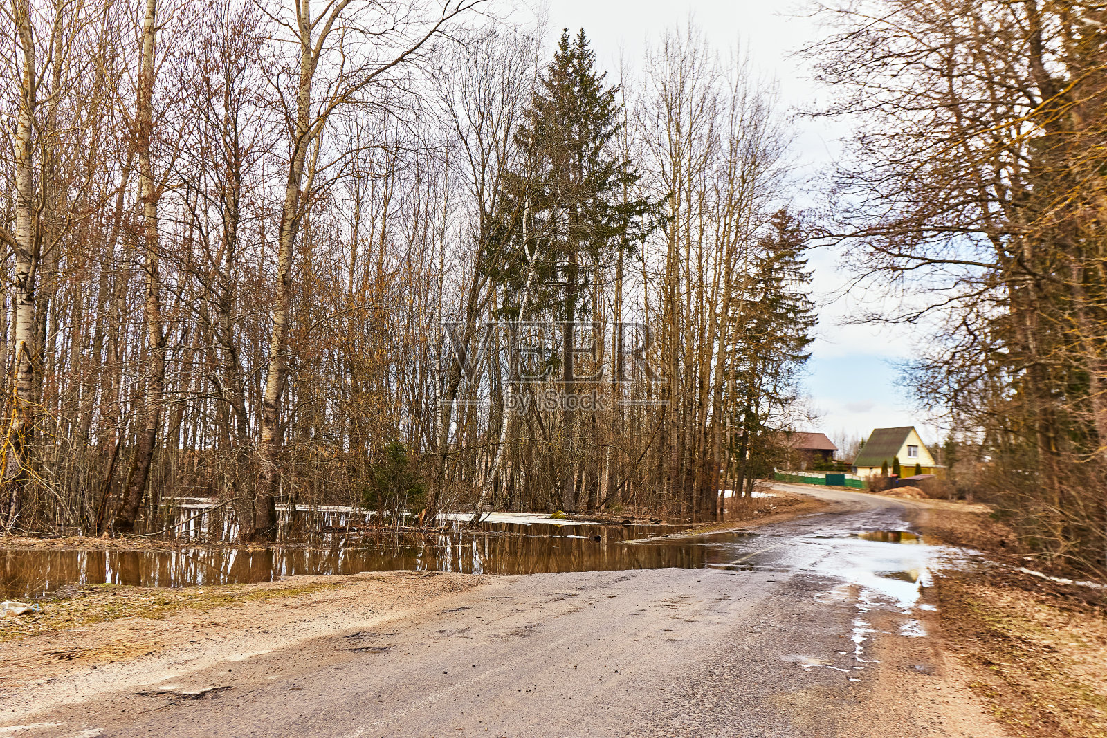 春天融雪。森林里的大水坑。小溪穿过乡间小路。潮湿的土壤。季节变化。三月乡村风光。照片摄影图片