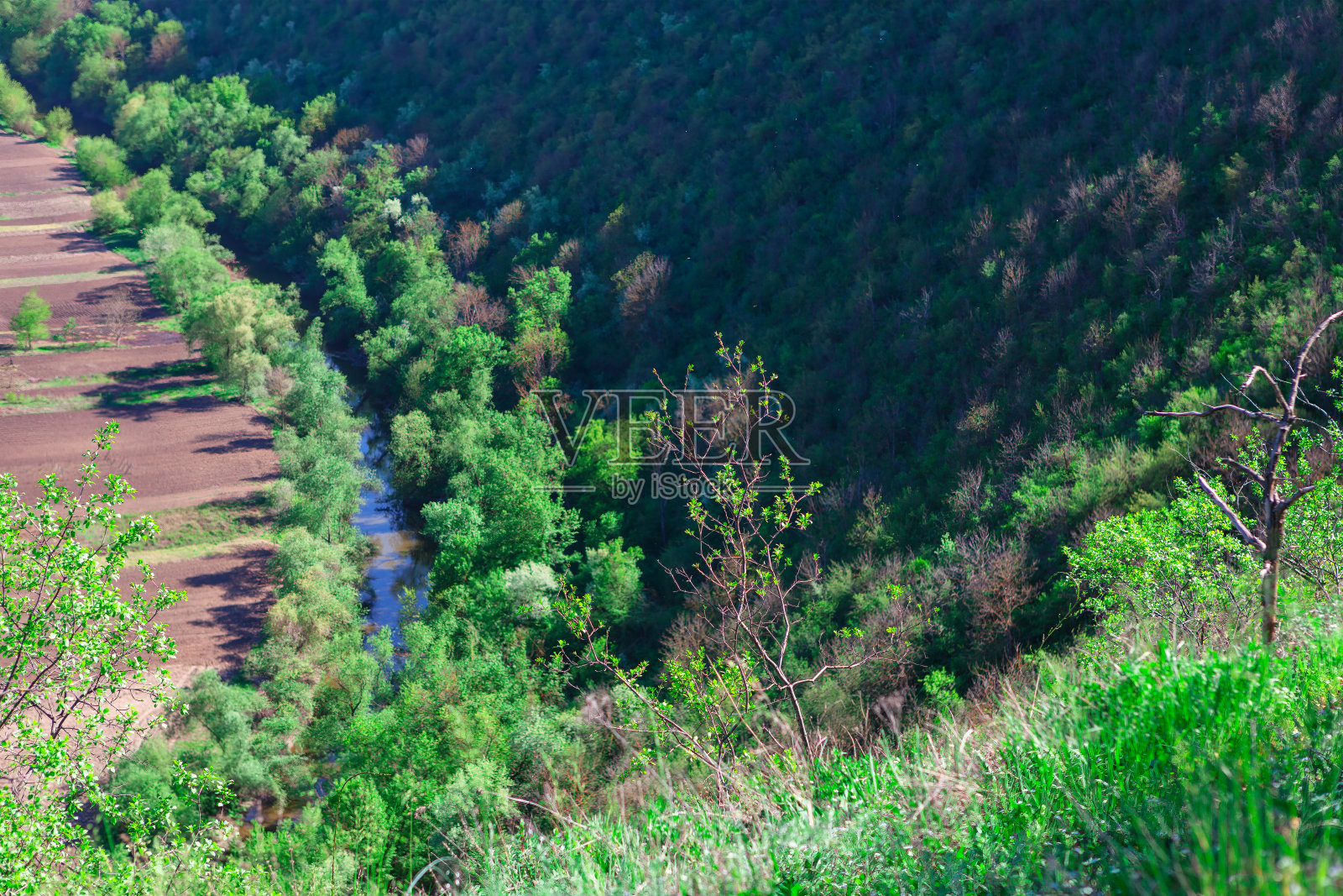 青山绿谷自然照片摄影图片