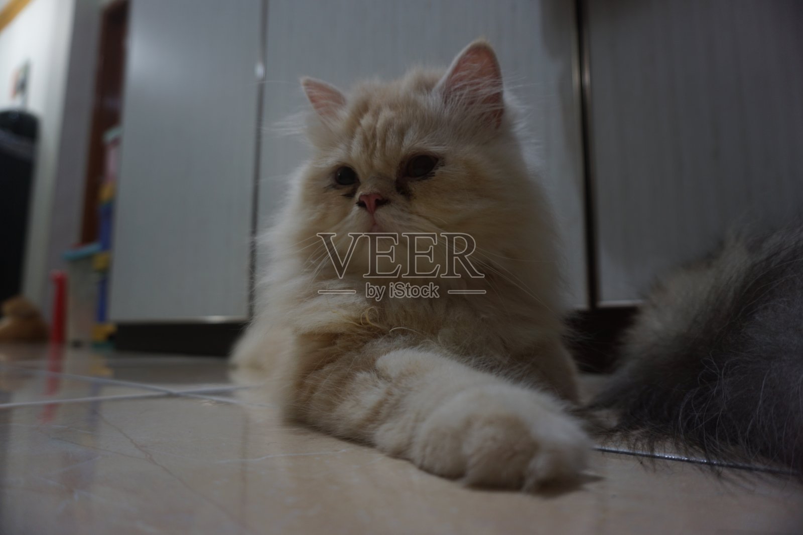 混音照片摄影图片