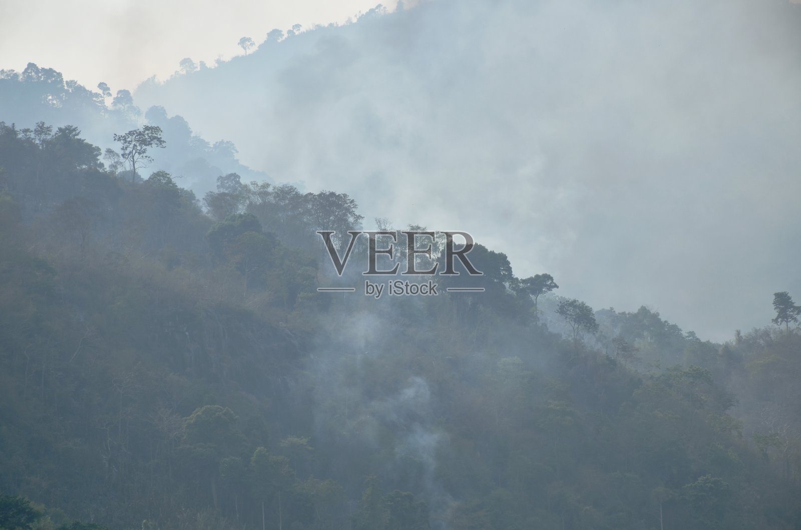 泰国考普拉山的野火破坏了森林,造成了污染照片摄影图片