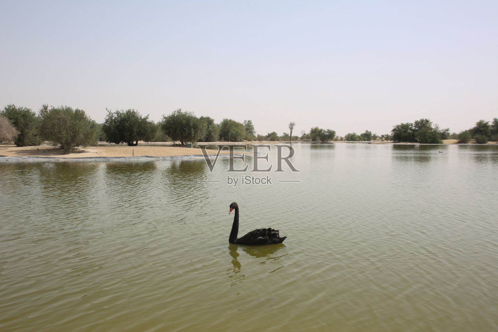 景观照片摄影图片