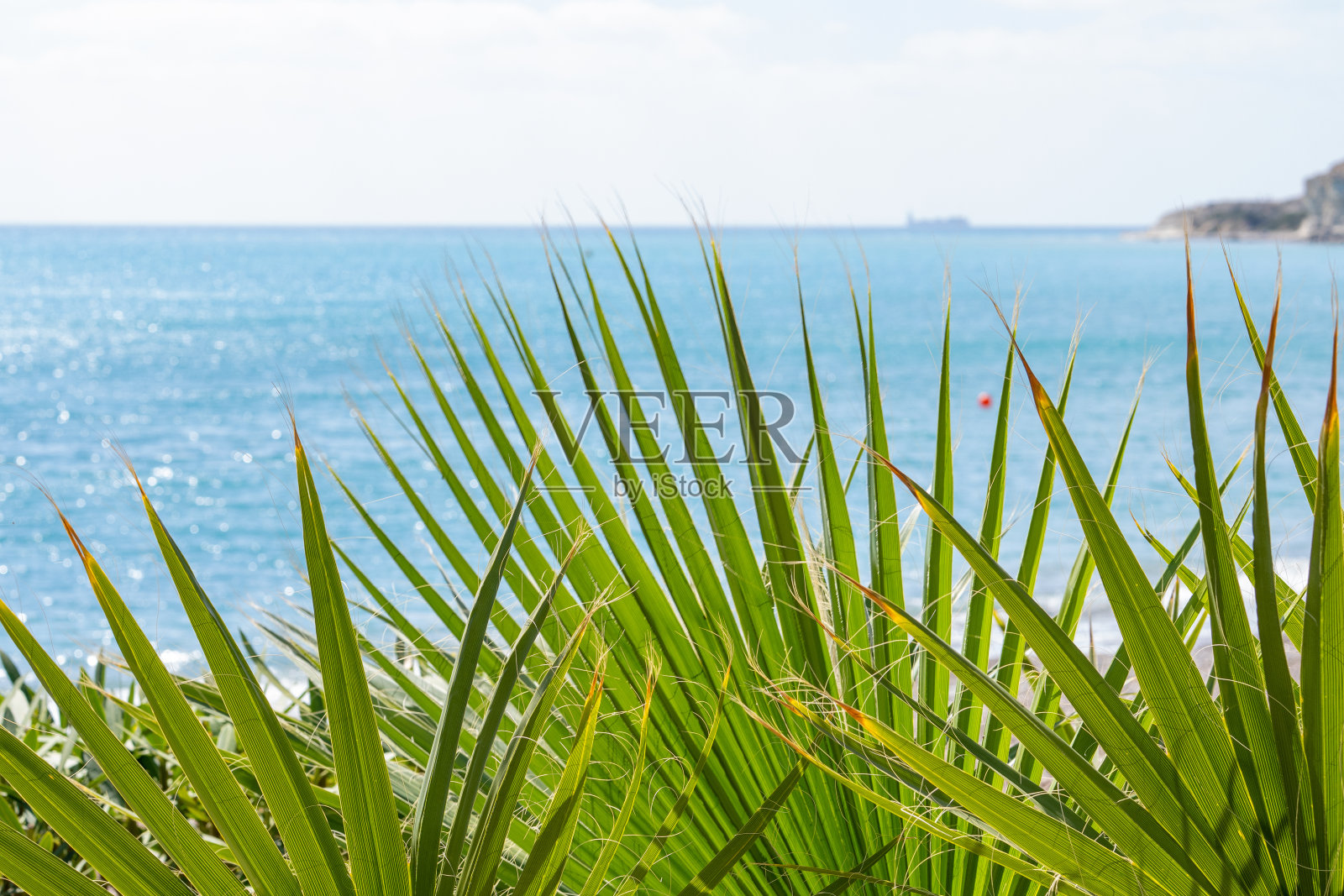 树叶和棕榈树,温暖的绿松石海和风景如画的海角在雾蒙蒙的背景作为一个旅游概念照片摄影图片