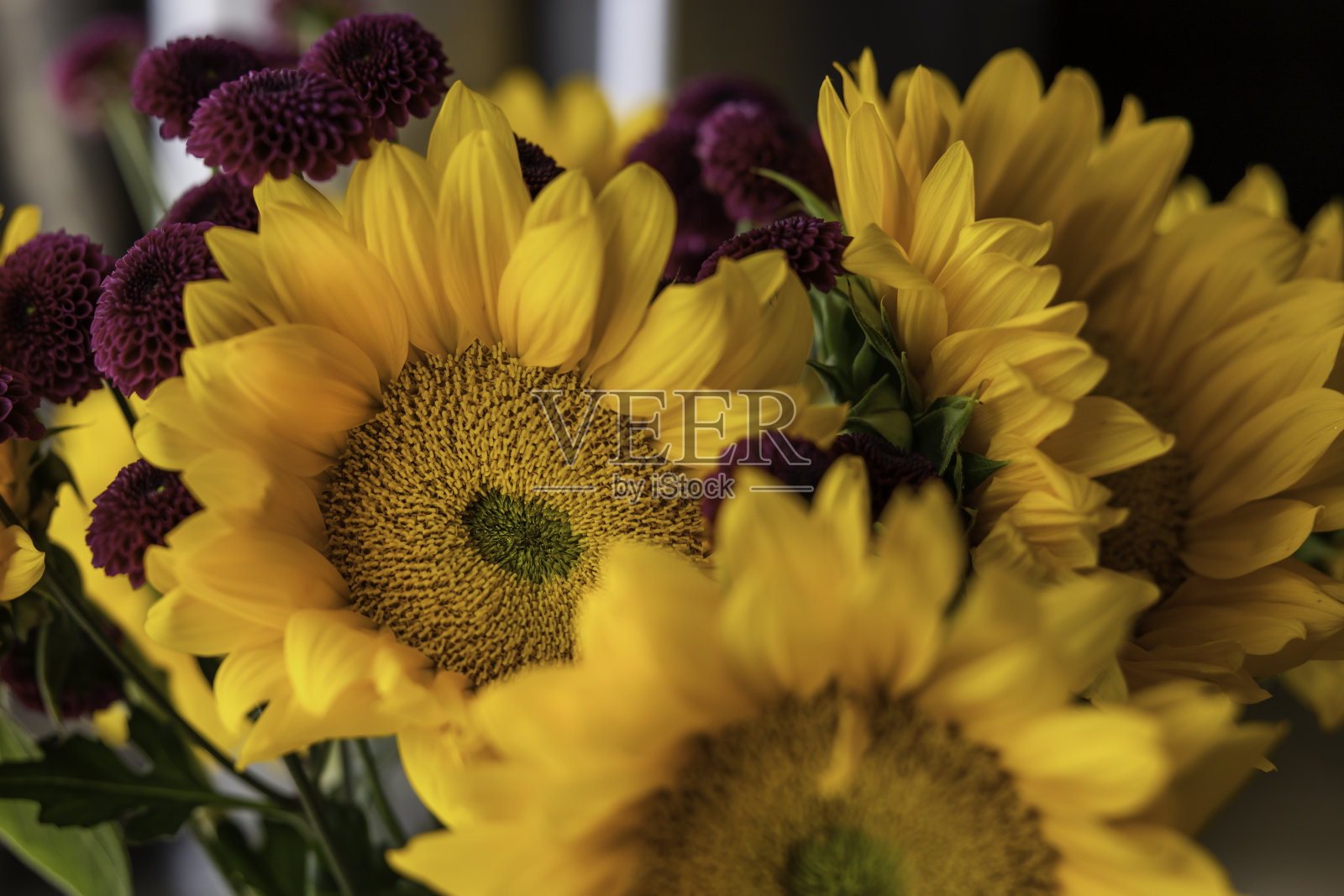 向日葵照片摄影图片