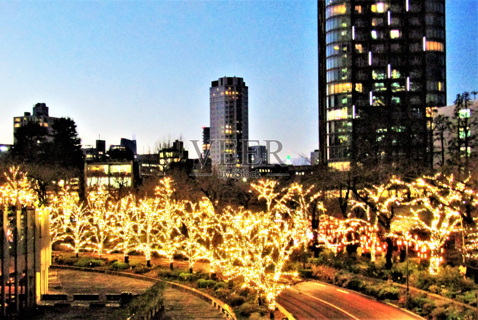 日本。12月。东京的圣诞彩灯。照片摄影图片