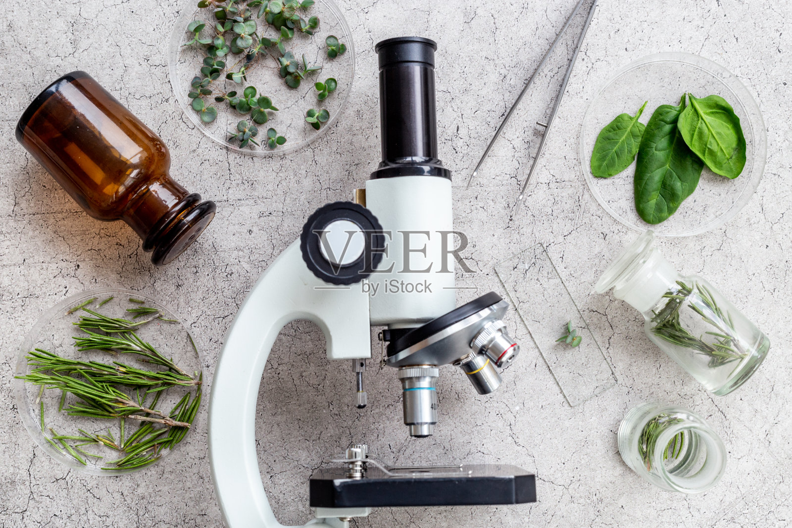 化学实验室植物供应。用显微镜研究植物照片摄影图片