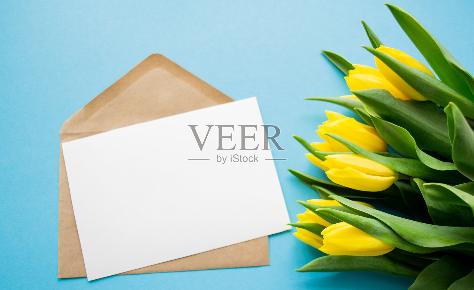 蓝色背景和黄色郁金香上的白色信纸信封:春季节日问候照片摄影图片