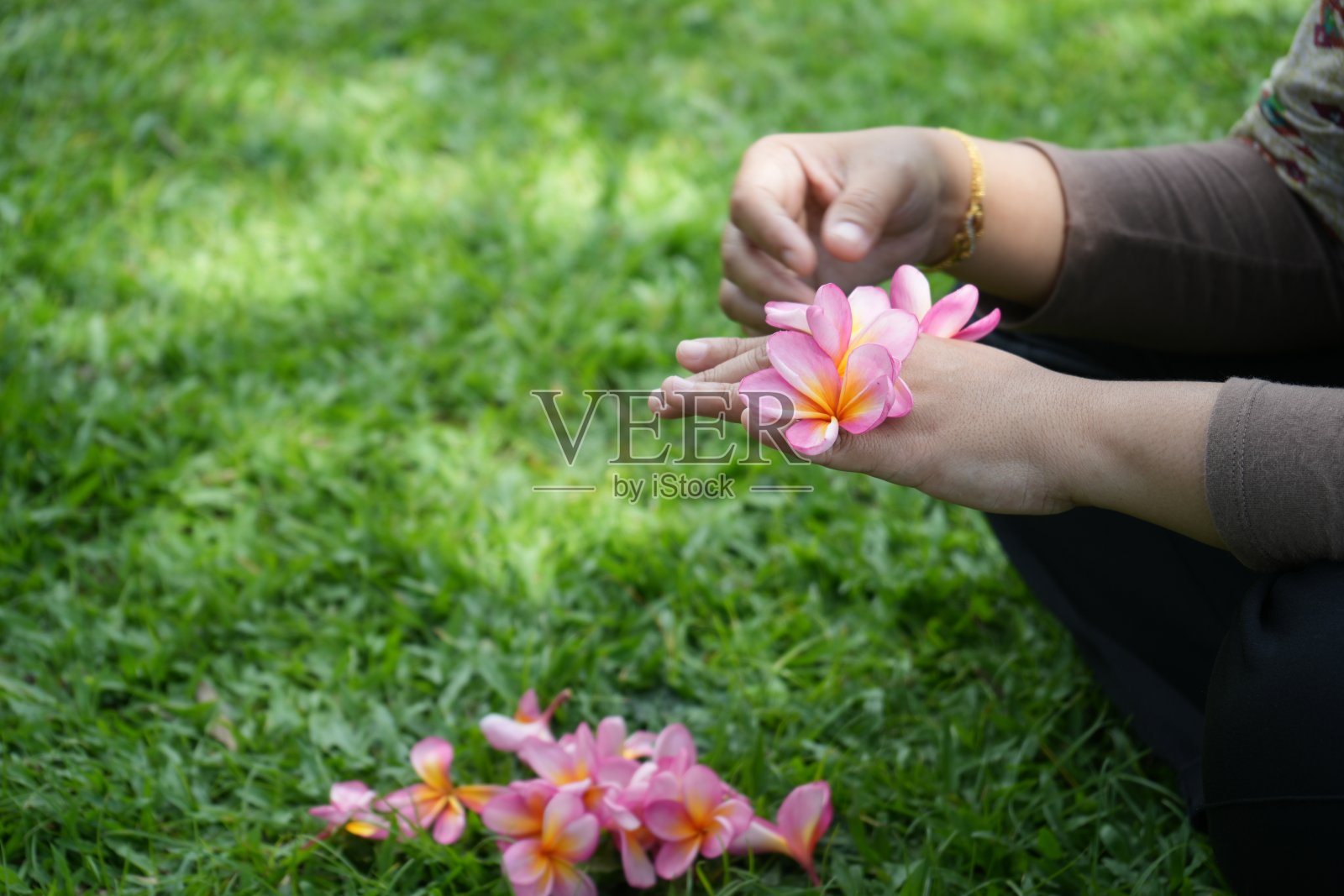 在长满绿草的院子里捧着花照片摄影图片