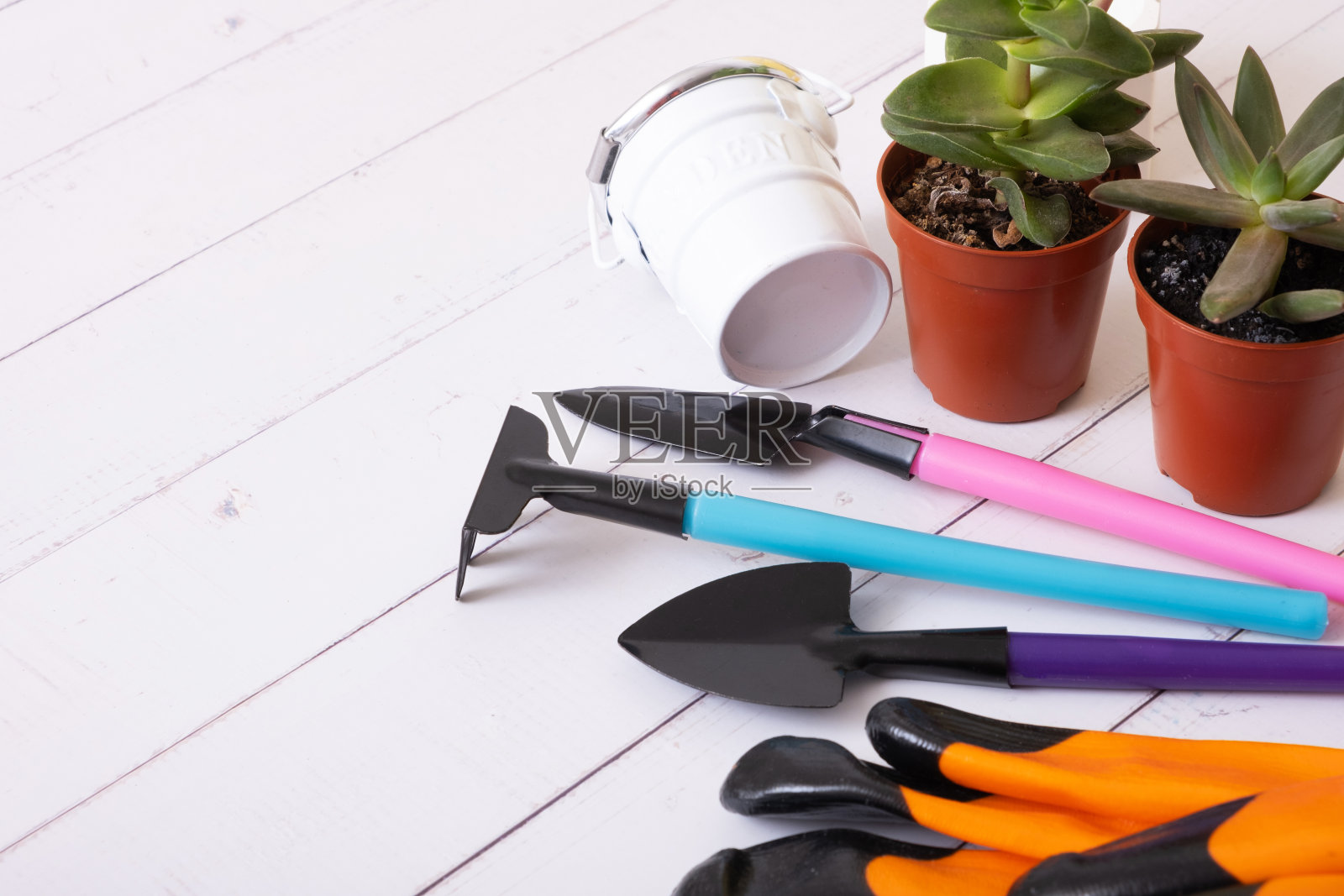 植物和园艺工具,带手套,木桌上的花盆。家庭园艺概念照片摄影图片