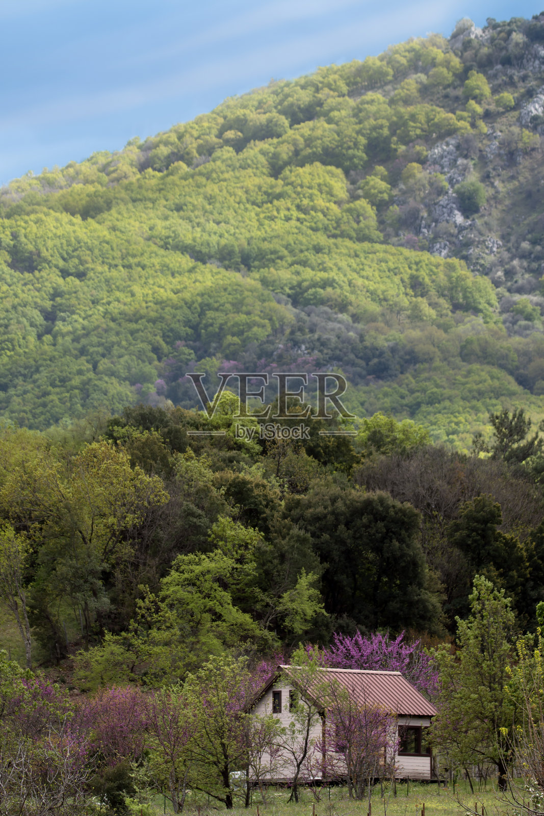 山脚下的小木屋,色彩柔和。有橡树、栗子和黑刺的森林。紫荆树的粉红色花朵构成了风景。照片摄影图片