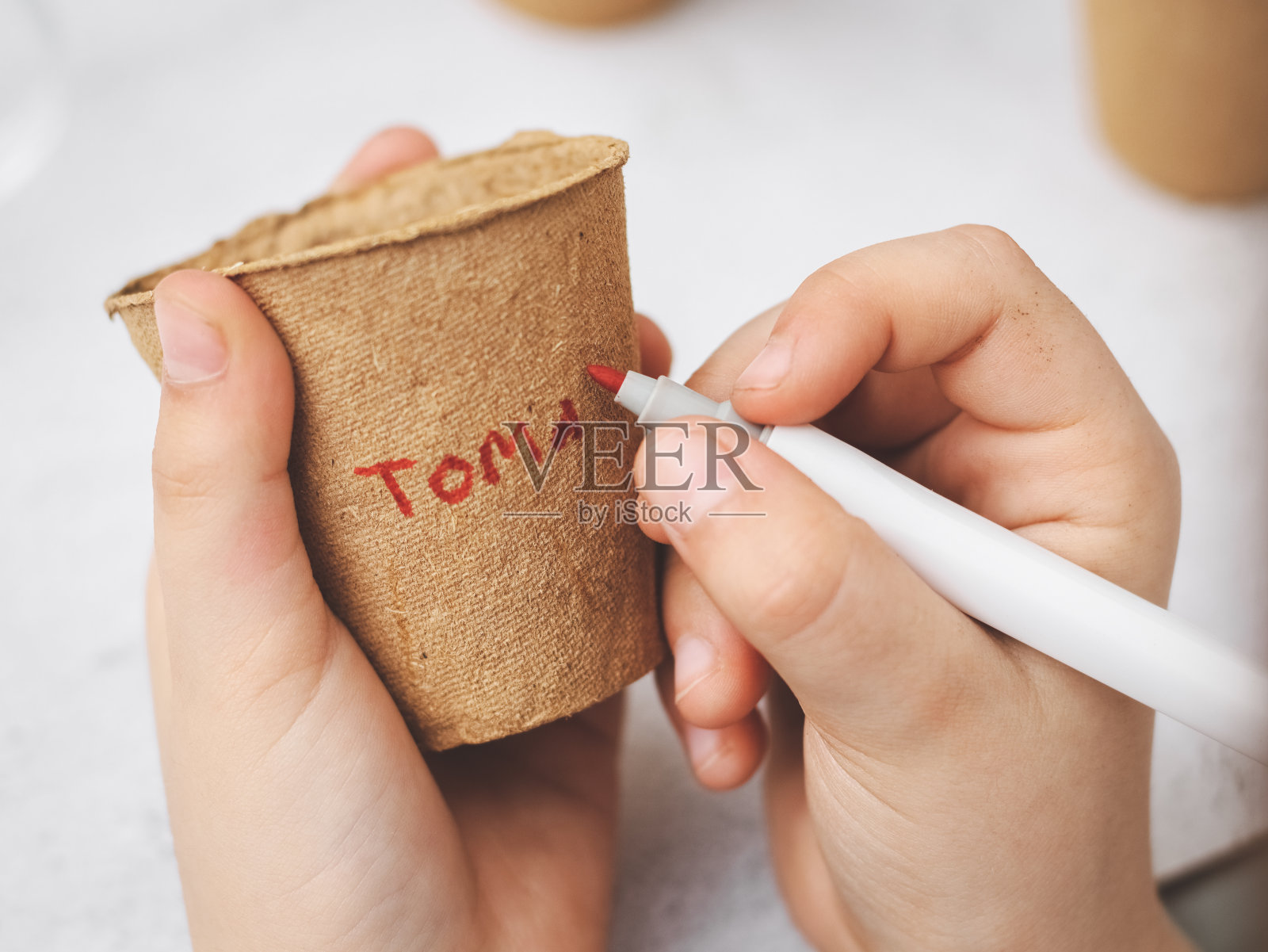 一个白人女孩的手拿着一个纸板杯子,用红色马克笔签上“西红柿”这个词照片摄影图片