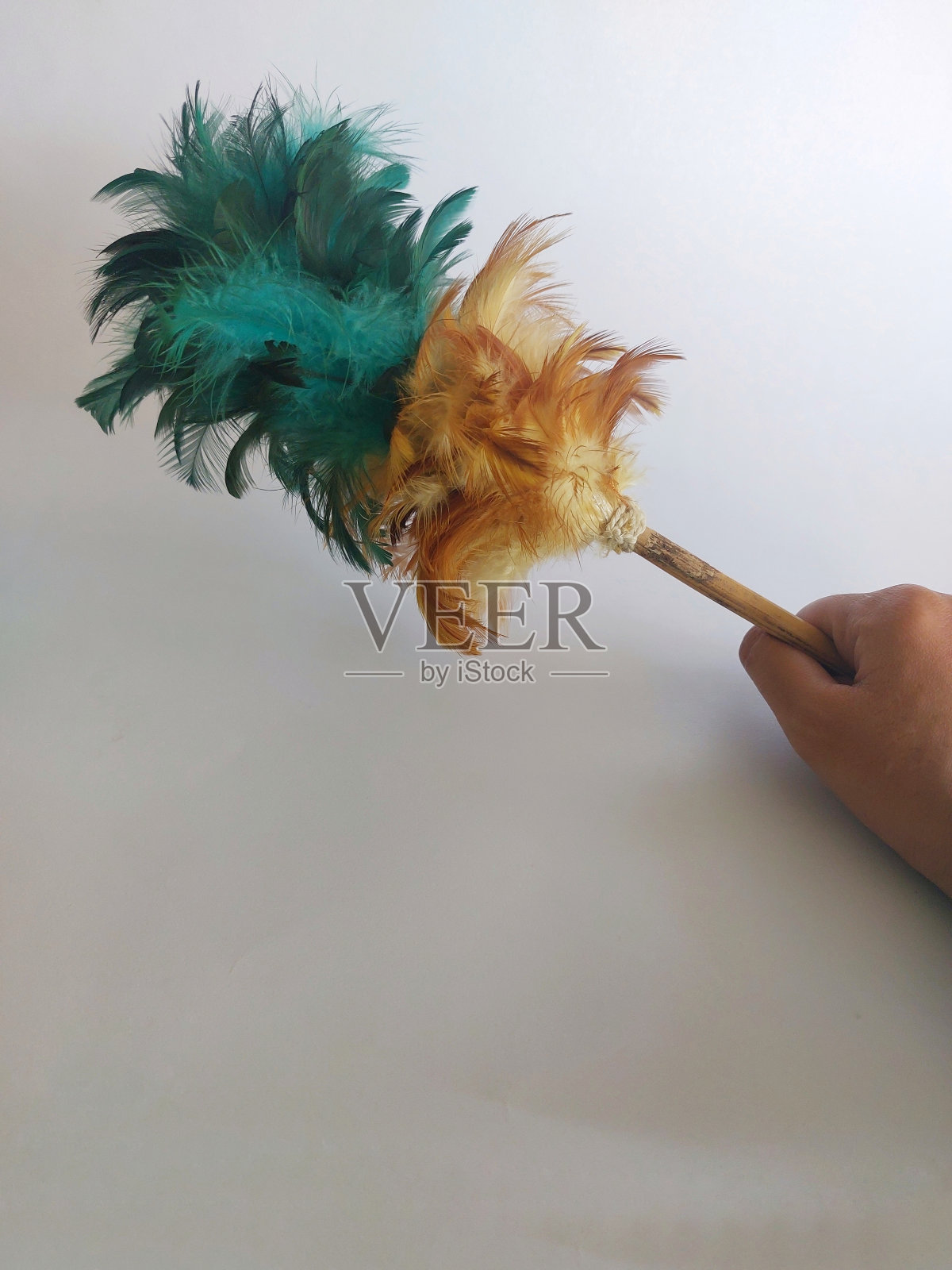 彩色鸡毛掸子照片摄影图片