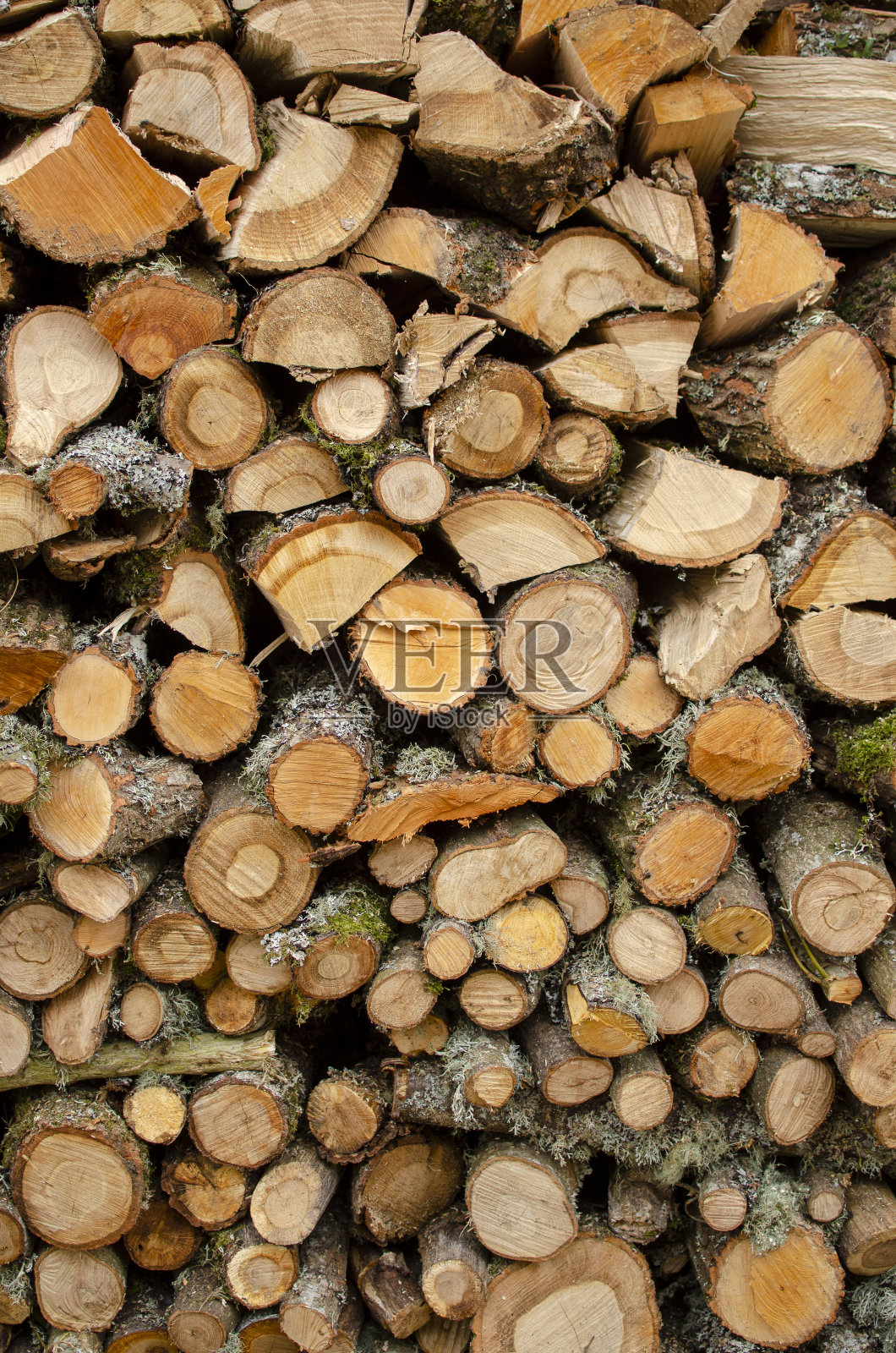 视图橡树木材切割和堆叠为干燥,木材为冬季照片摄影图片