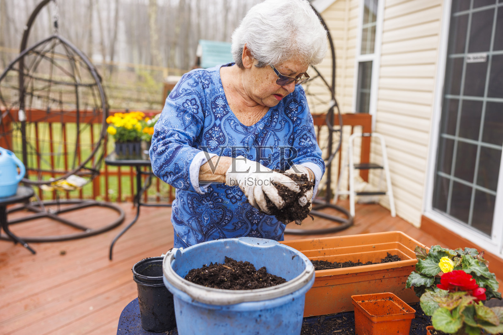 专心致志,一位年长的妇女正在给花盆里灌土种苗。照片摄影图片