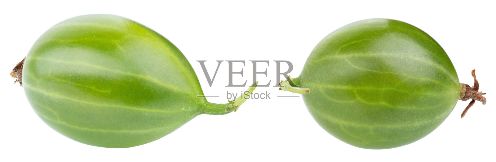 白色背景上孤立的醋栗。绿色的夏季浆果。新鲜成熟的醋栗。照片摄影图片