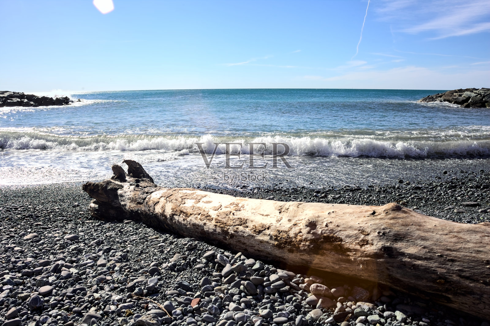 阳光明媚的卵石海滩上的树干照片摄影图片
