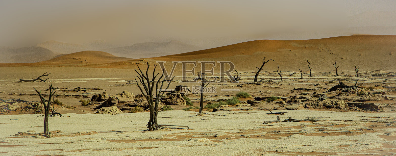 Namib- Naukluft国家公园Sossusvlei的死树。照片摄影图片