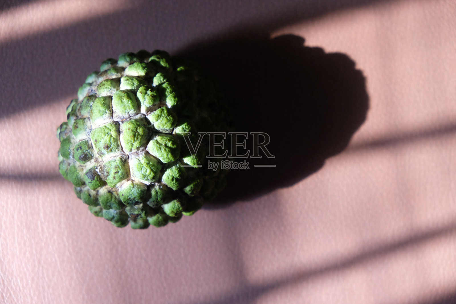 Srikaya或糖苹果。照片摄影图片