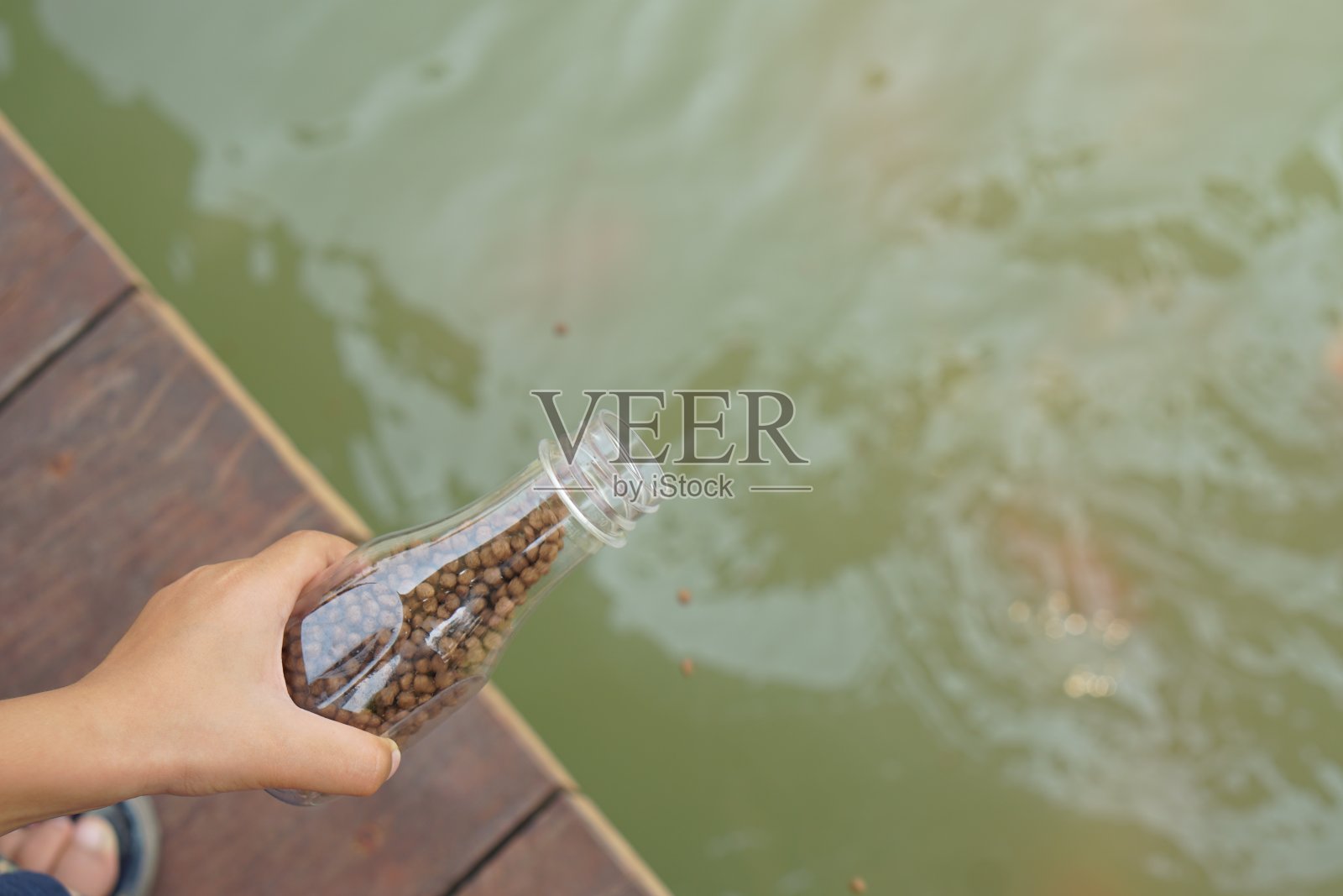 孩子在池塘里用手喂鱼照片摄影图片