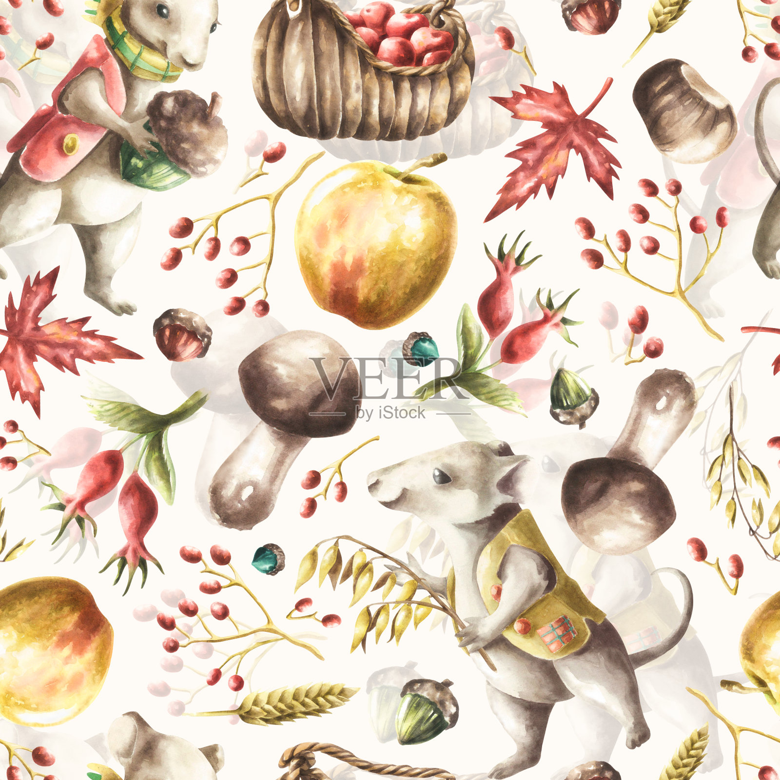 水彩图案与老鼠和苹果分离。插画图片素材