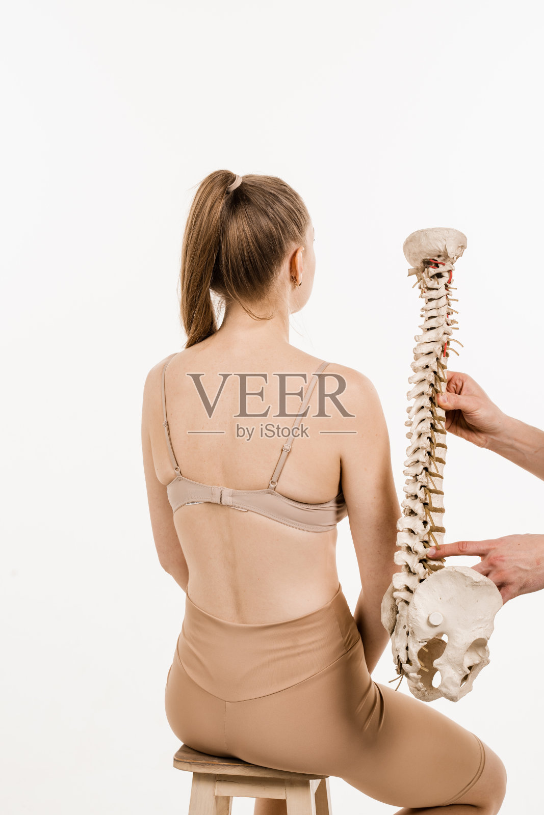 脊柱侧弯是脊柱的侧曲。年轻女性的脊柱解剖模型。骨科医生在白色背景上展示女孩的脊柱模型。照片摄影图片
