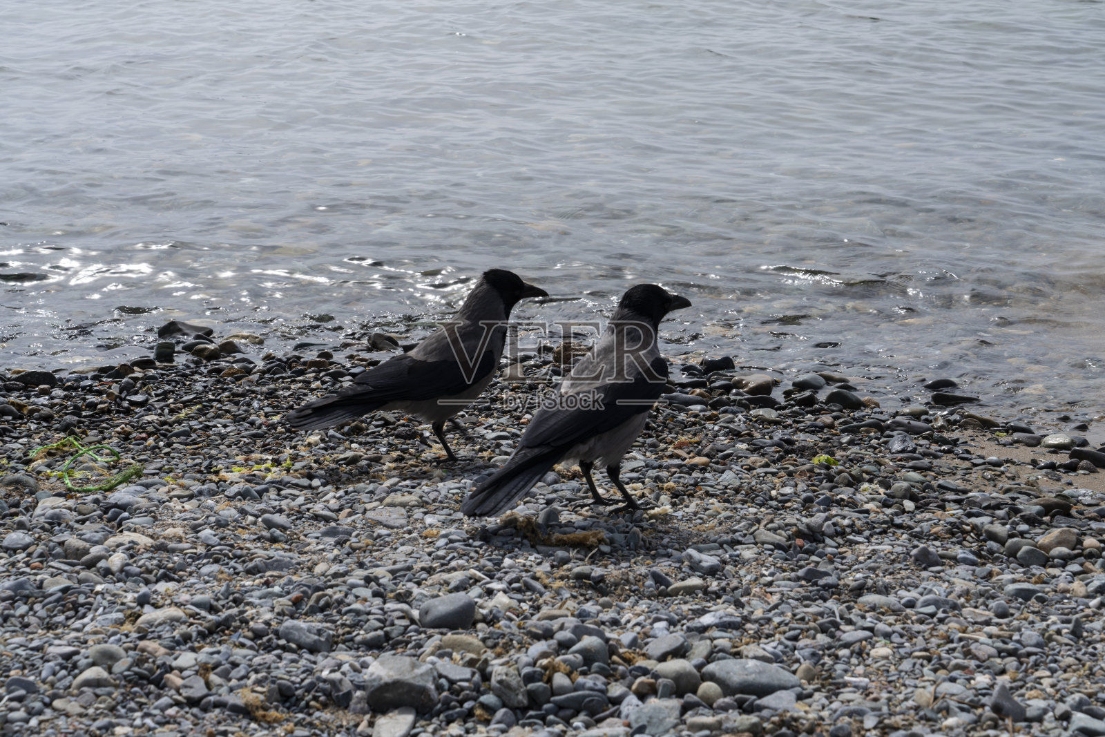 海滩上的小波浪照片摄影图片