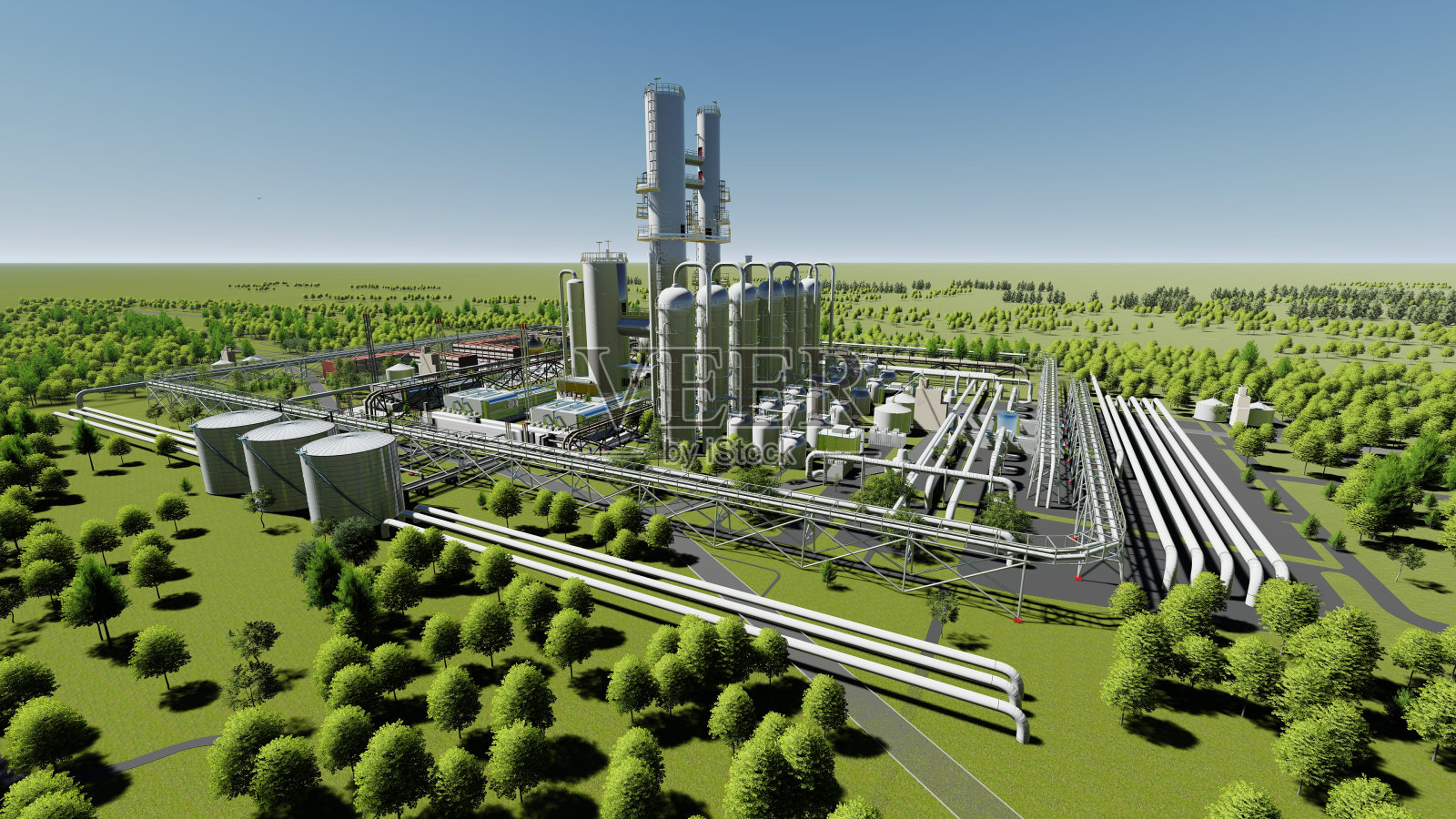 植物照片摄影图片