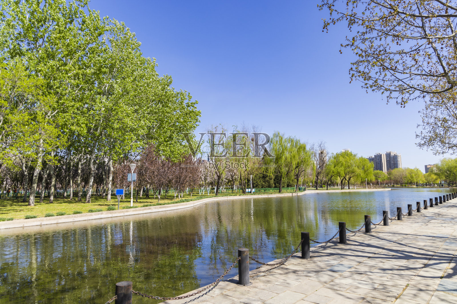 城市公园春天的绿色景观照片摄影图片