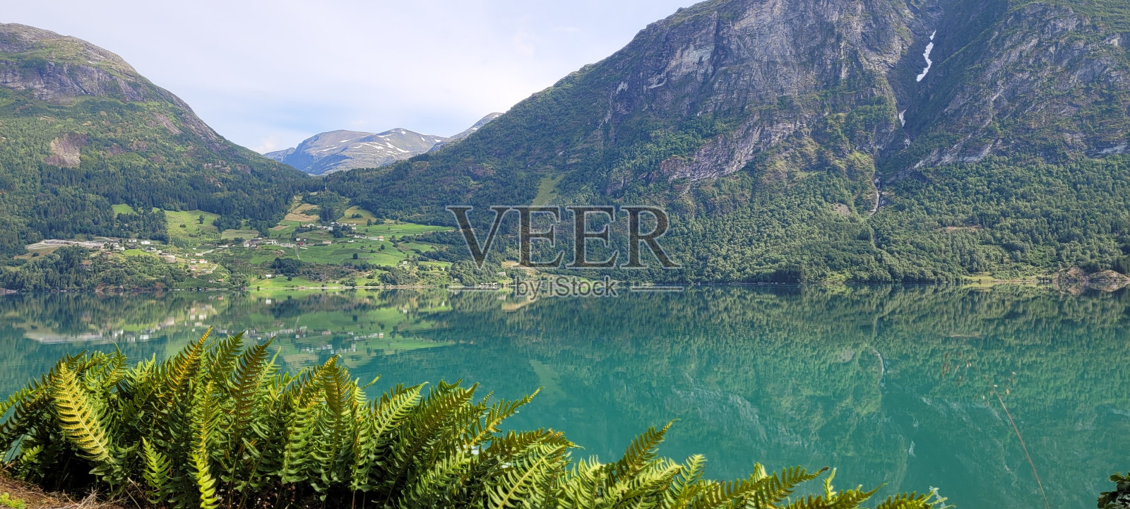 绿色的水。照片摄影图片