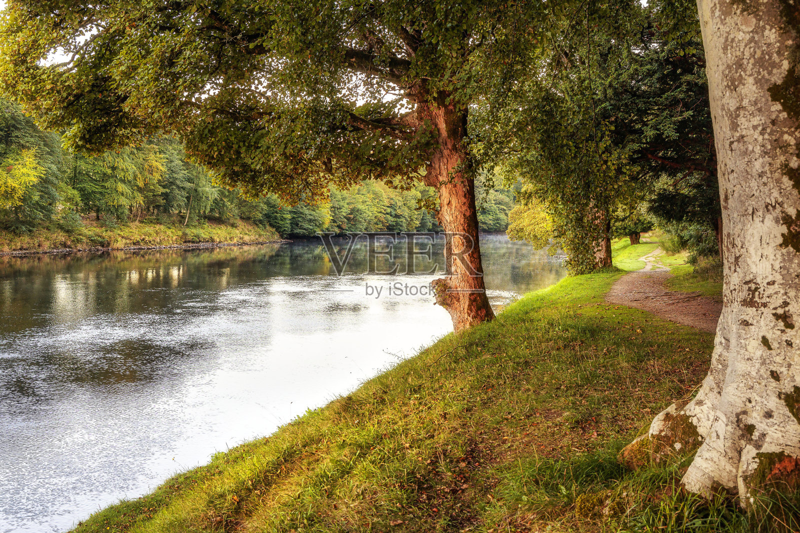 苏格兰北佩思郡邓克尔德的泰河畔照片摄影图片