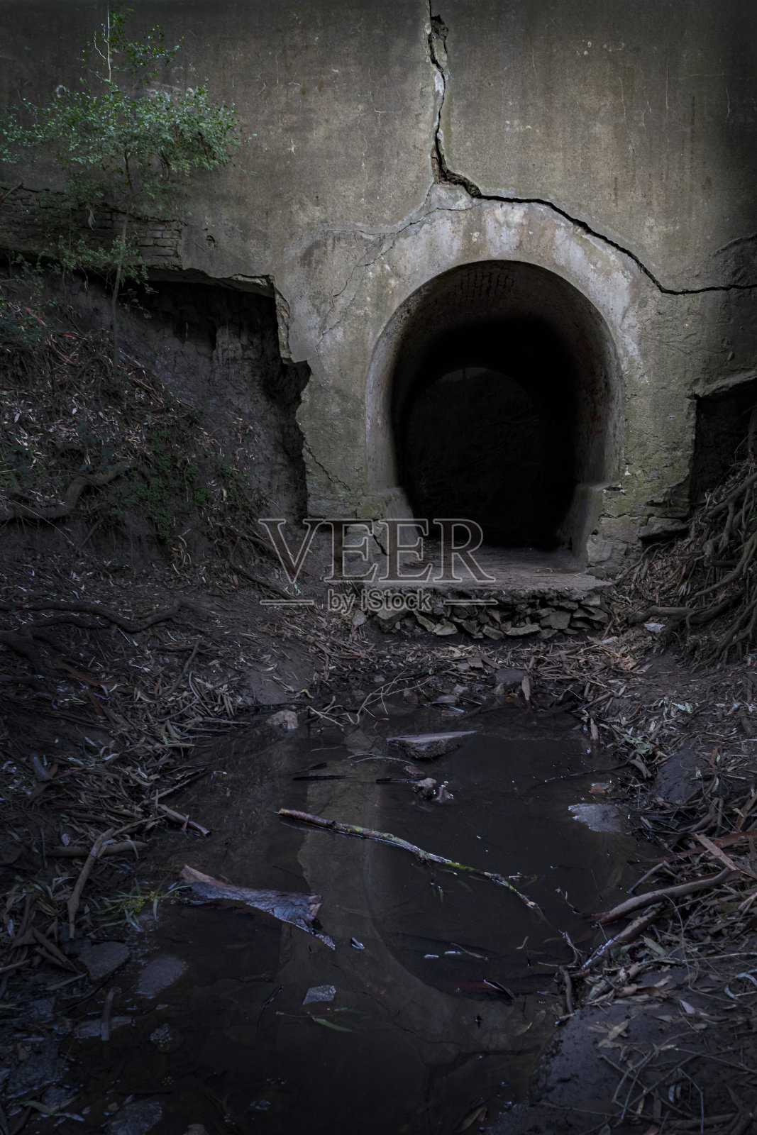 干河床桥洞照片摄影图片