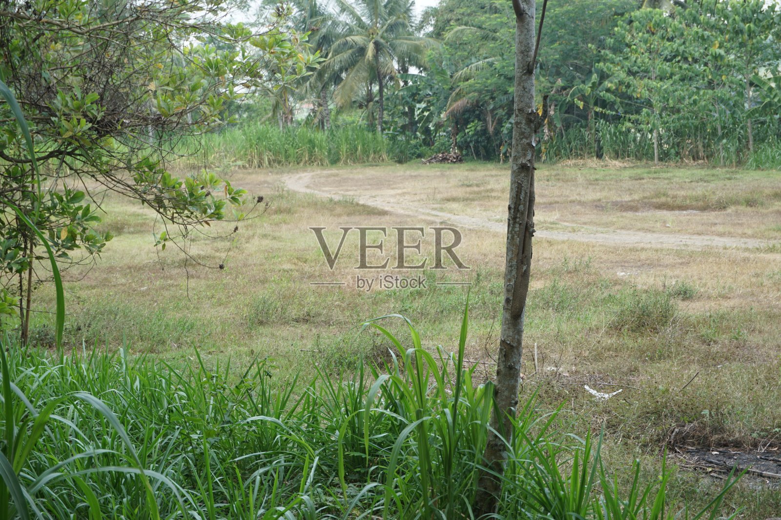 股票照片与抽象对象适合的背景照片摄影图片