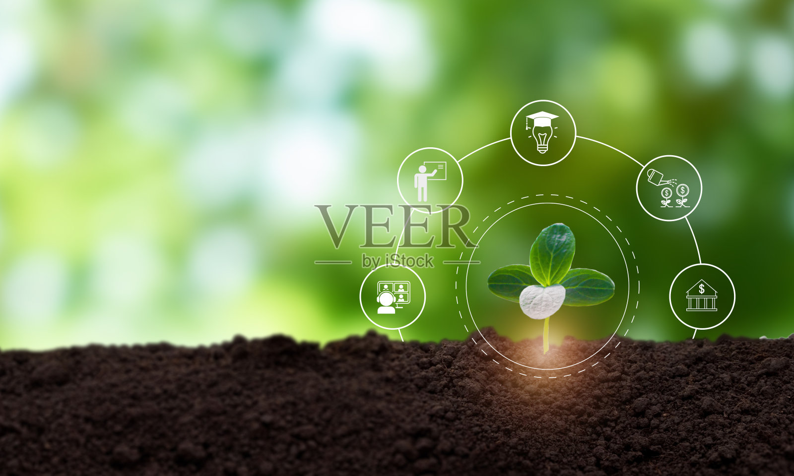 投资教育培训理念。用于支持教育生产价值的教育基金。基于人力资本的教育投资回报。照片摄影图片