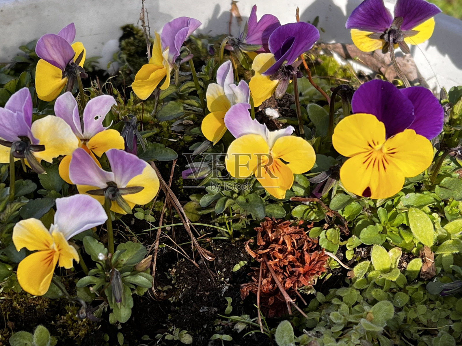 床上用品工厂照片摄影图片