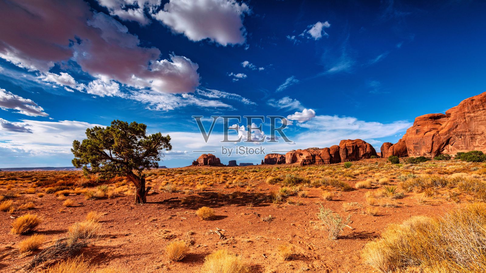 阴天的纪念碑谷迷人的景色照片摄影图片